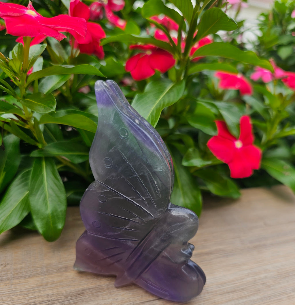Rainbow Fluorite Crystal Butterfly - 4 x 2.75 Inch Healing Crystal
