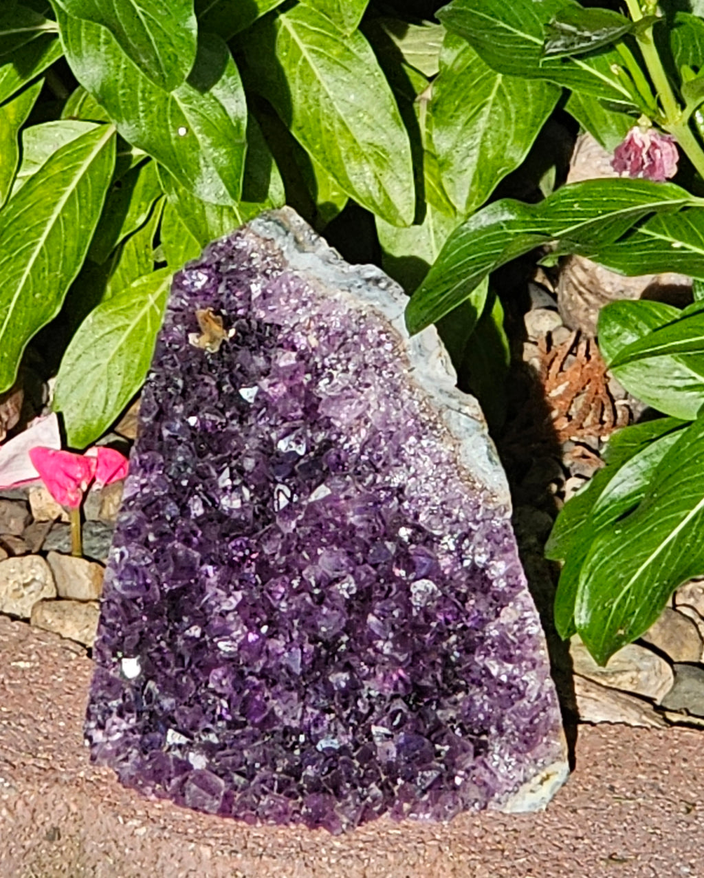 Amethyst Raw Crystal Cut Base