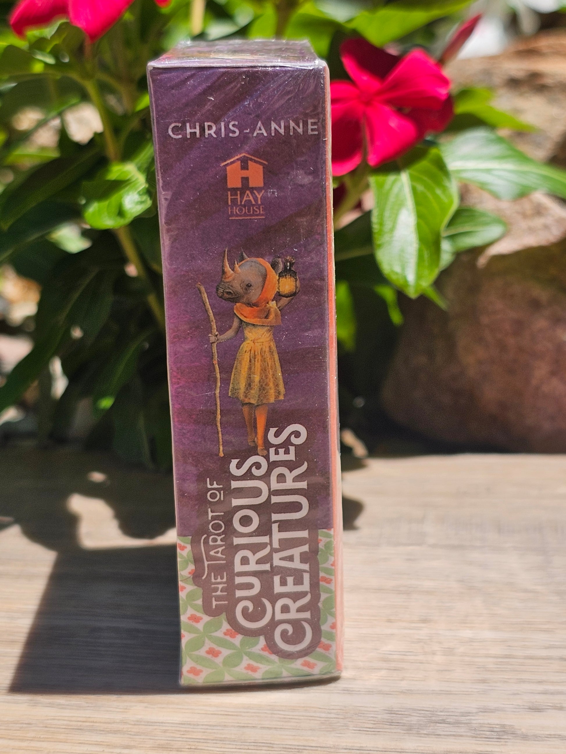 The Tarot Of Curious Creatures