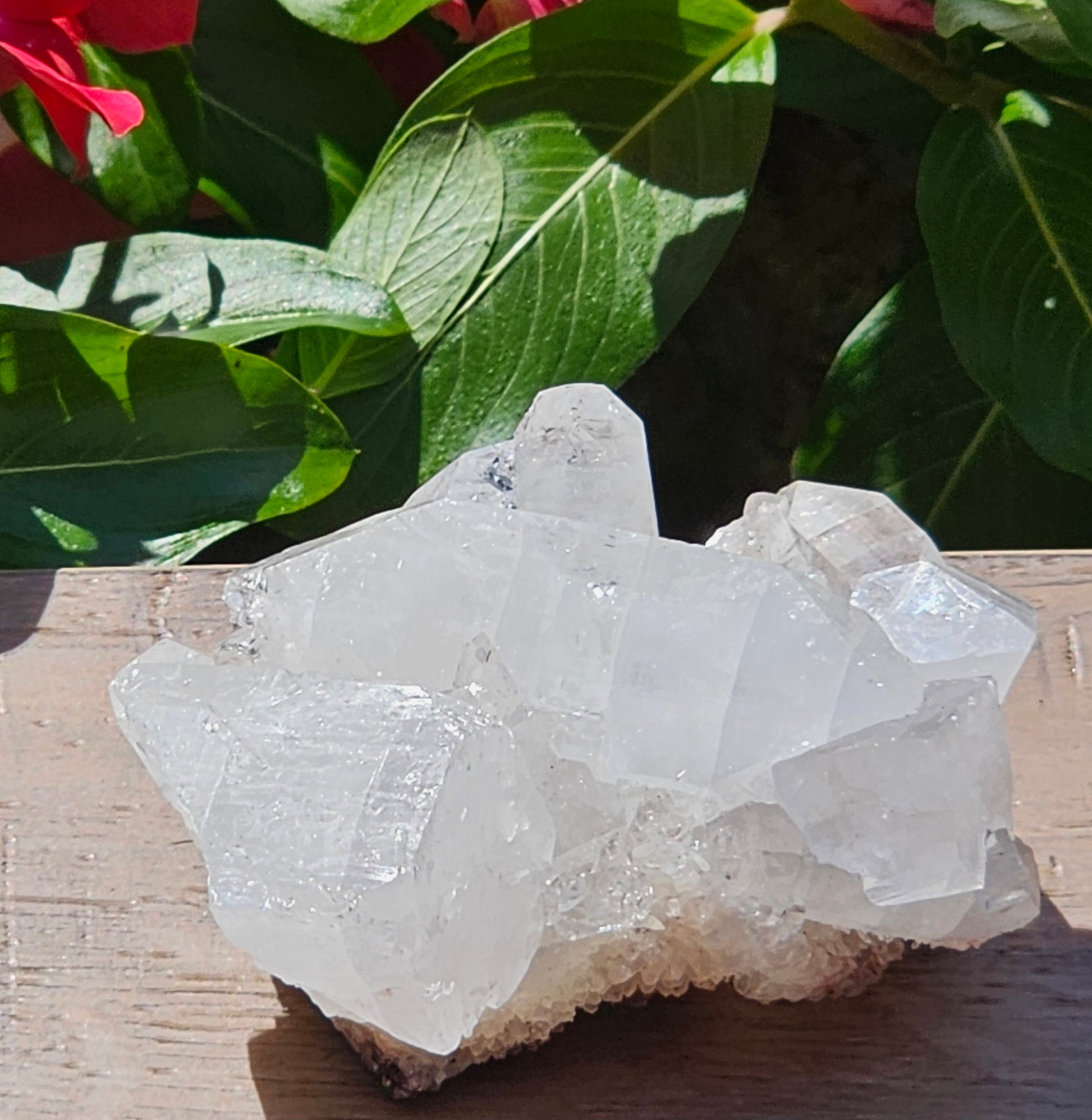 Apophyllite Raw Crystal Cluster