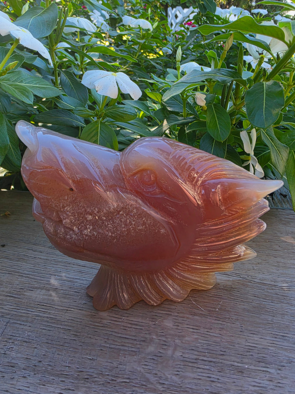 Carnelian Druzy Agate Crystal Wolf