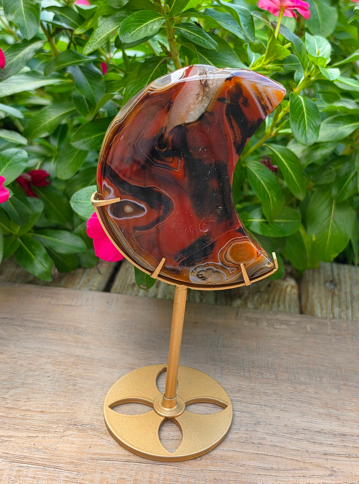 Sardonyx Crystal Crescent Moon on Stand with Druzy