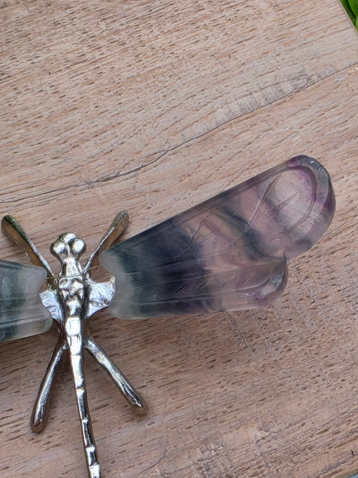 Rainbow Fluorite Crystal Dragonfly