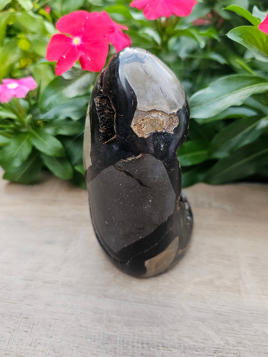 Septarian Dragon Egg - Natural Polished Stone 5" Tall