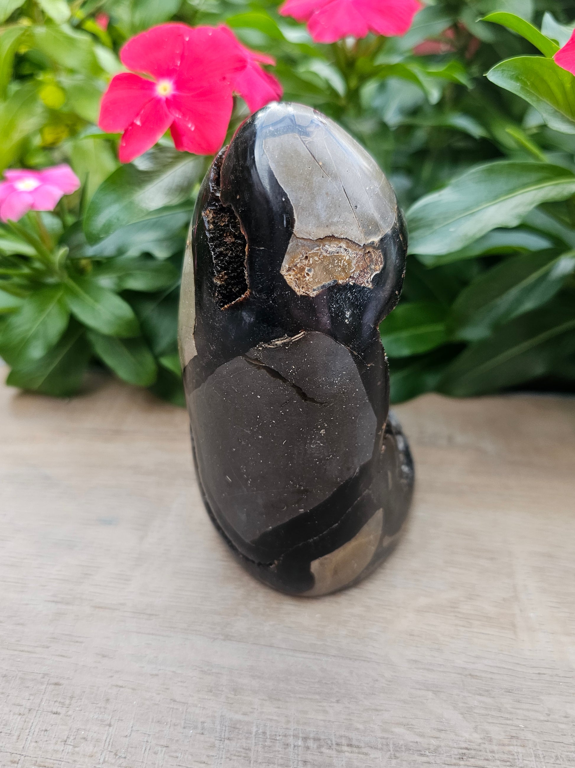 Septarian Dragon Egg - Natural Polished Stone 5" Tall