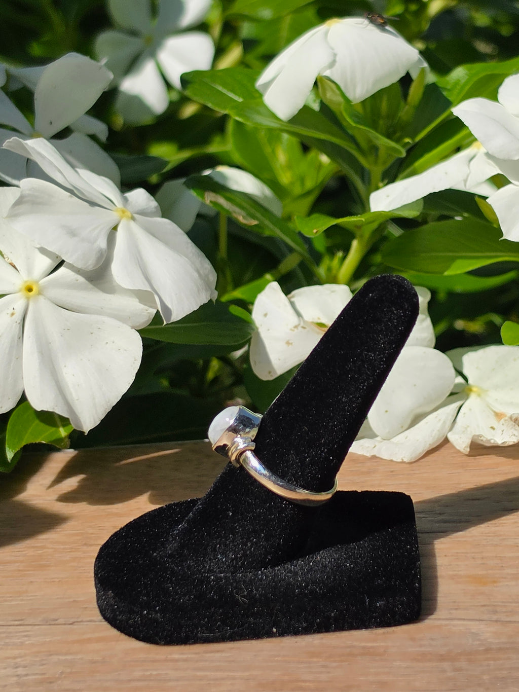 Moonstone Gemstone Sterling Silver Ring - Size 6