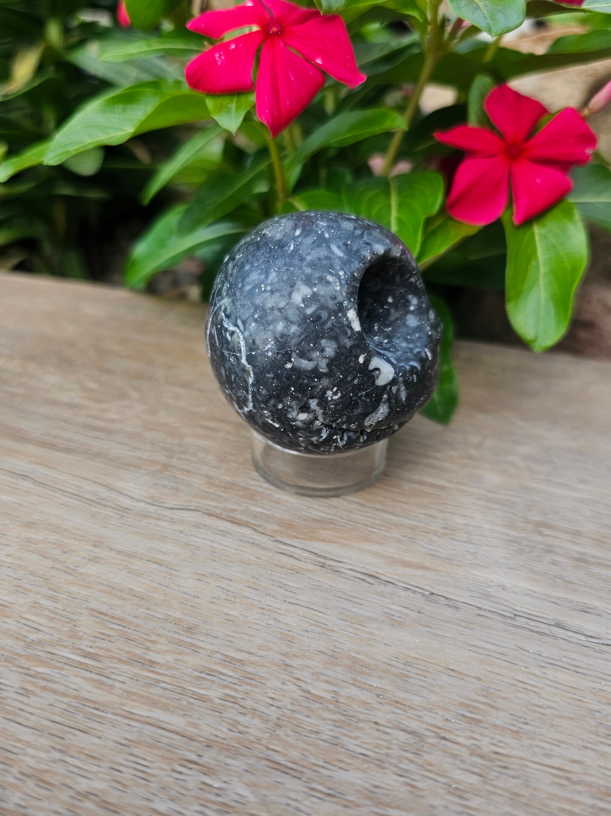 Guinea Fowl Jasper Crystal Jack Skellington - Skully