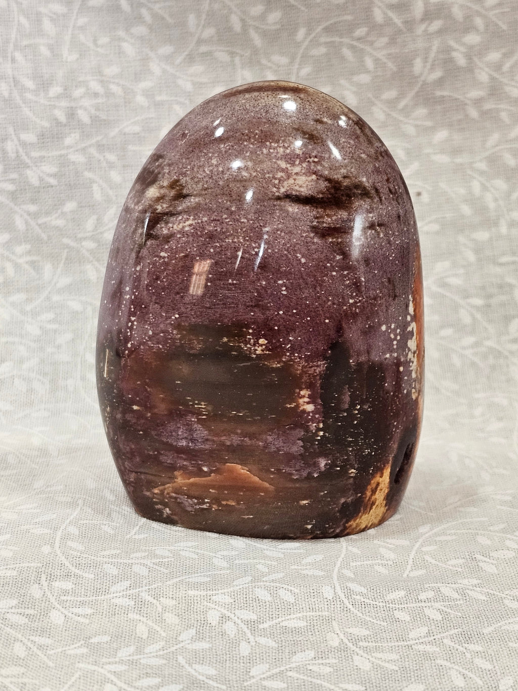 Petrified Wood Crystal Free Form