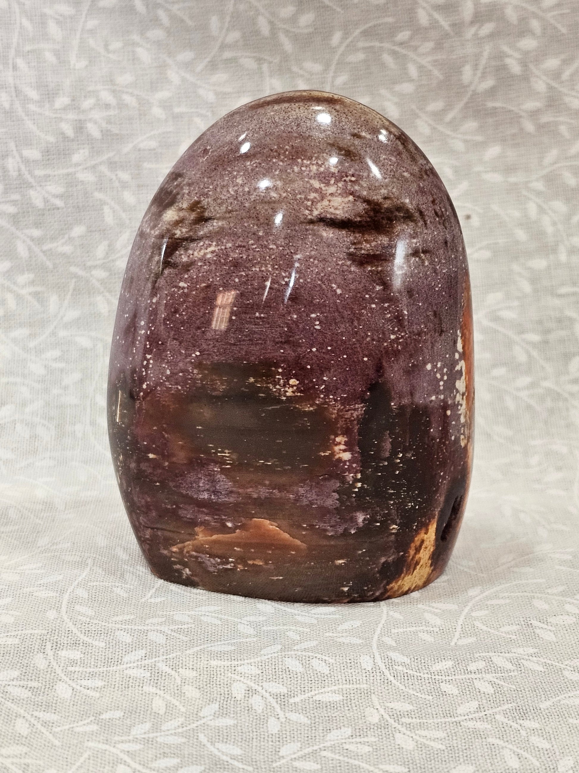 Petrified Wood Crystal Free Form