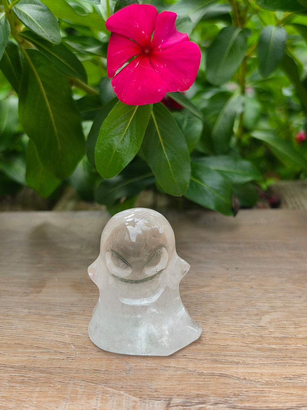 Clear Quartz Crystal Ghost