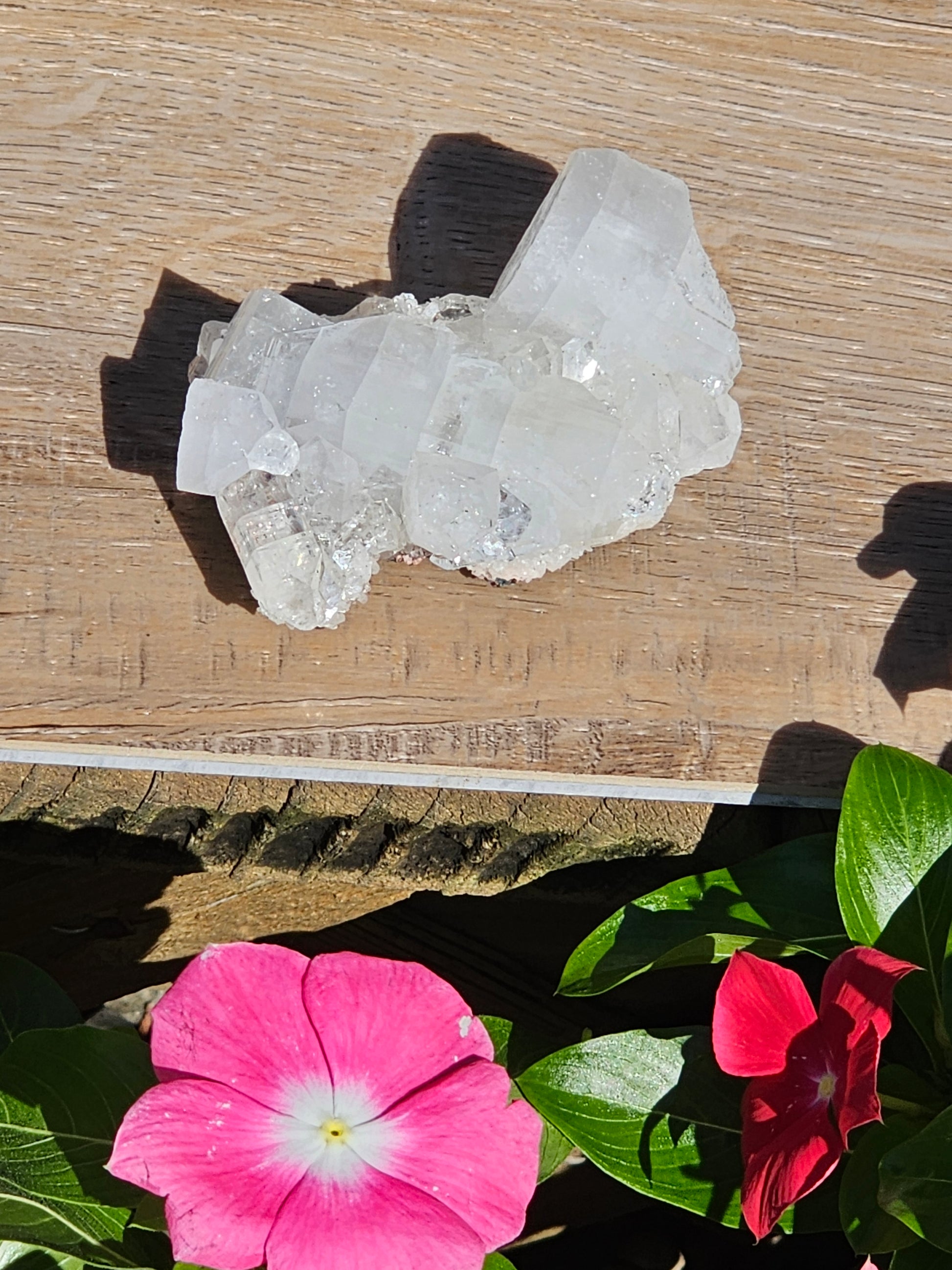 Apophyllite Raw Crystal Cluster