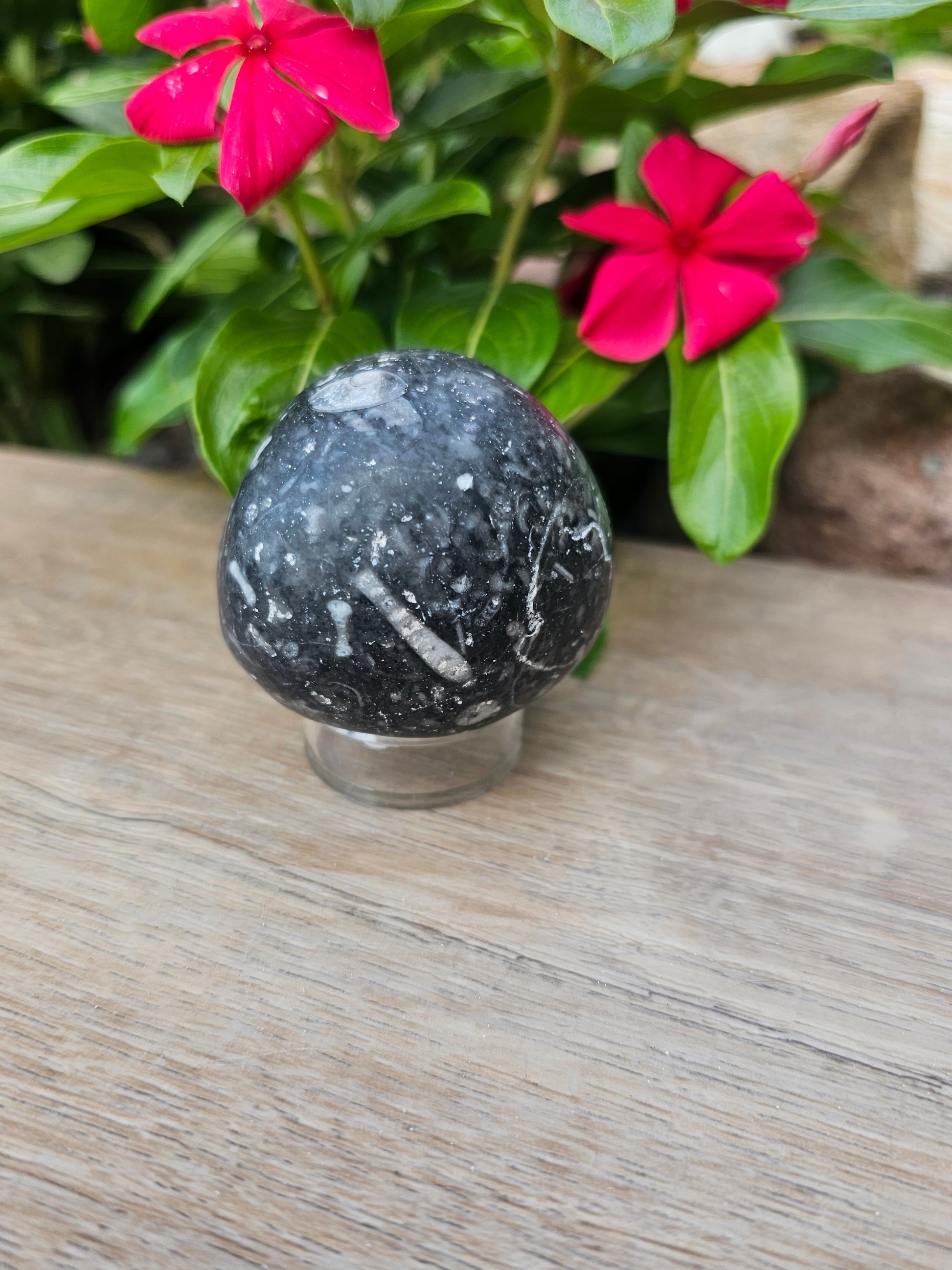 Guinea Fowl Jasper Crystal Jack Skellington - Skully