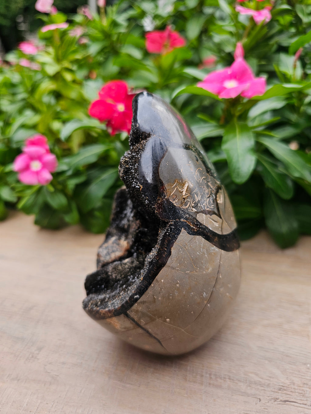 Septarian with Calcite Crystal Dragon Egg - 5.1" Polished Stone