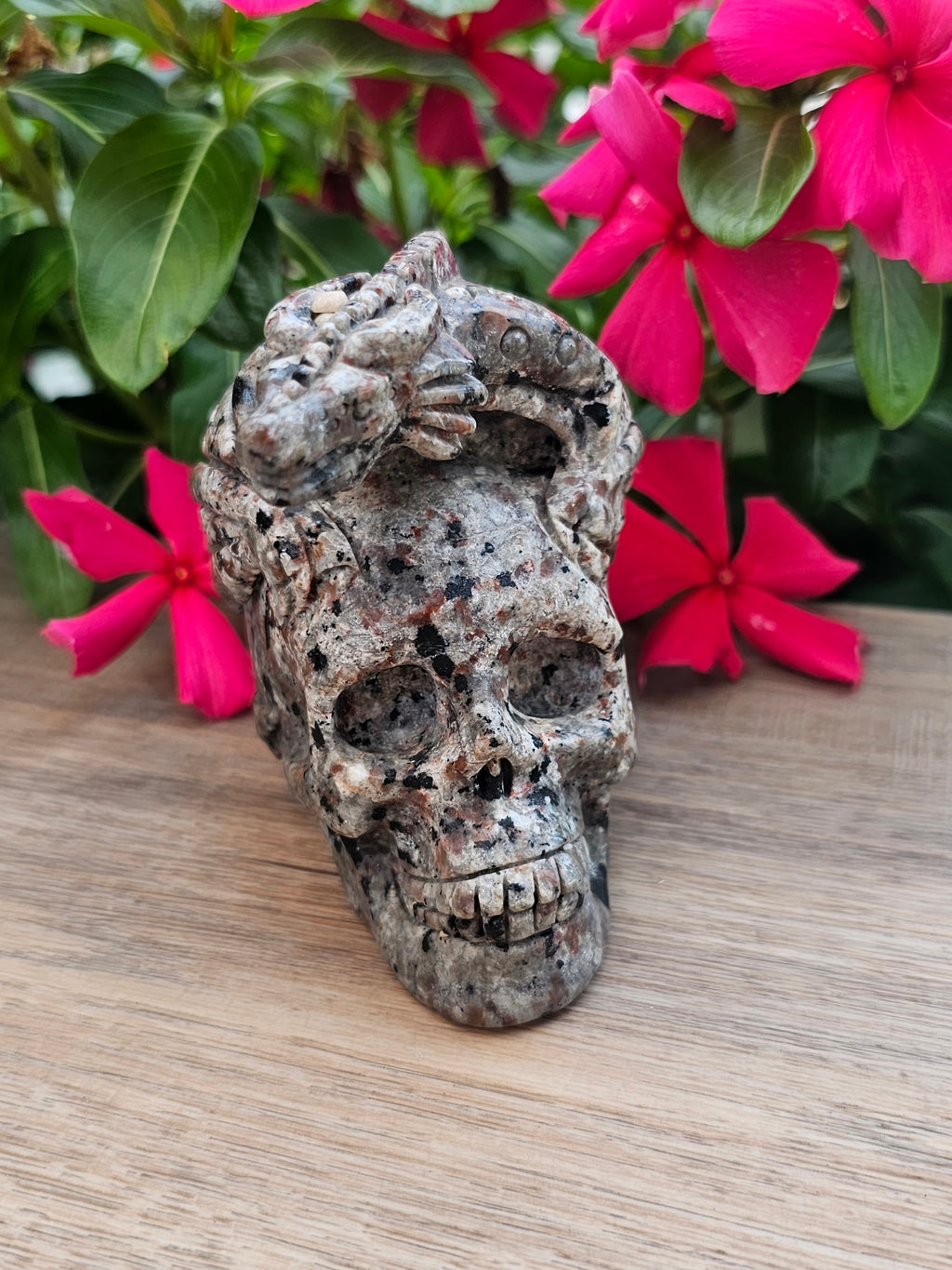 Yooperlite Crystal Skull with Dragon Carving