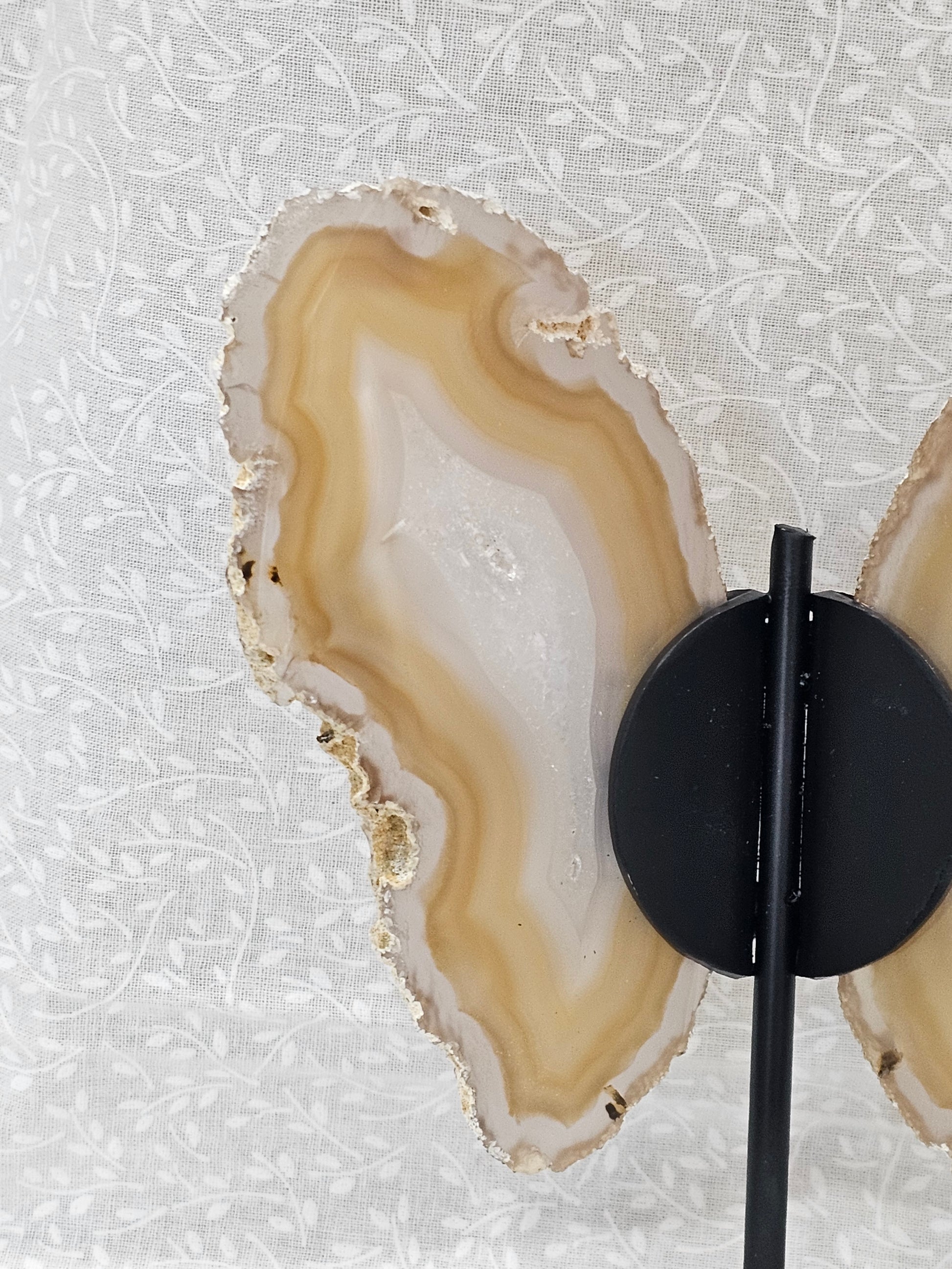 Agate Crystal Butterfly Wings on Stand