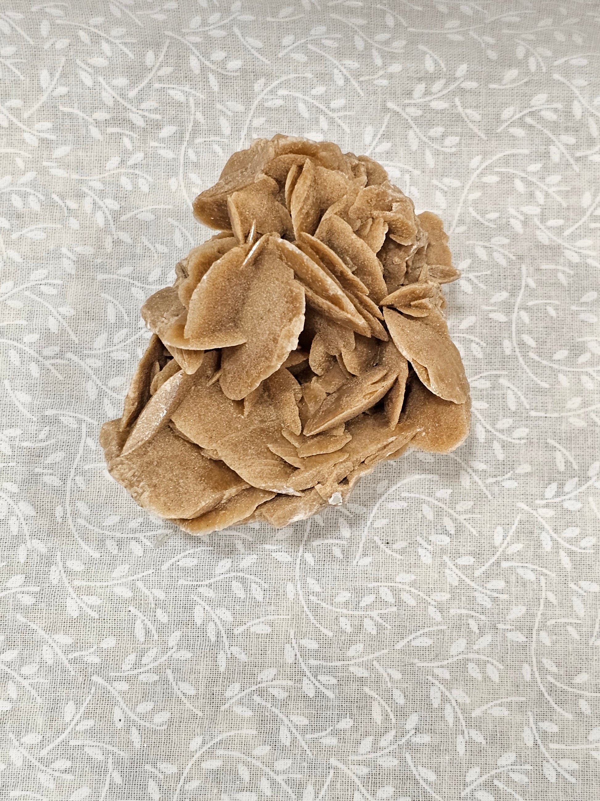 Gypsum Desert Rose Raw Crystal Cluster