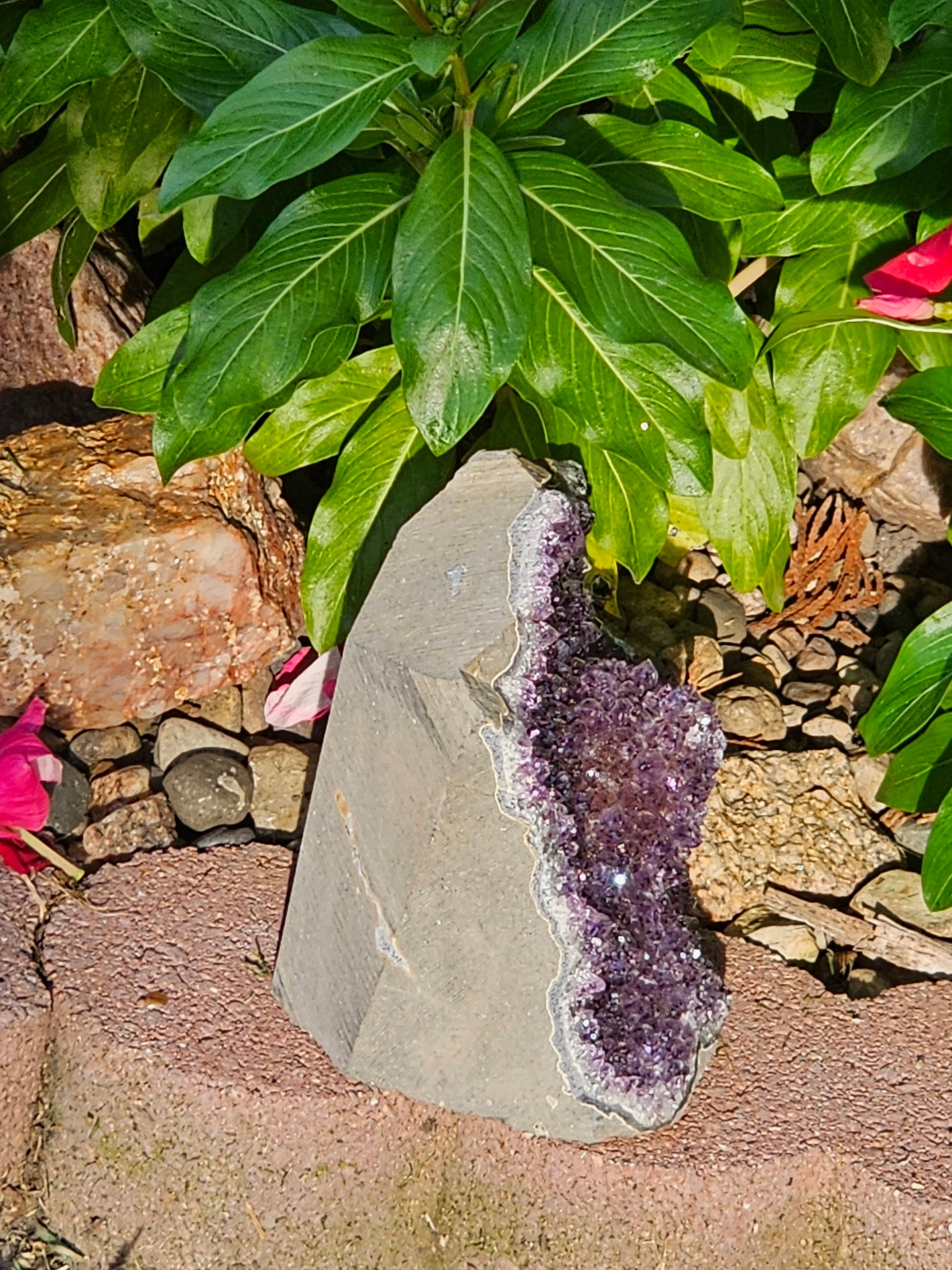Amethyst Raw Crystal Cut Base