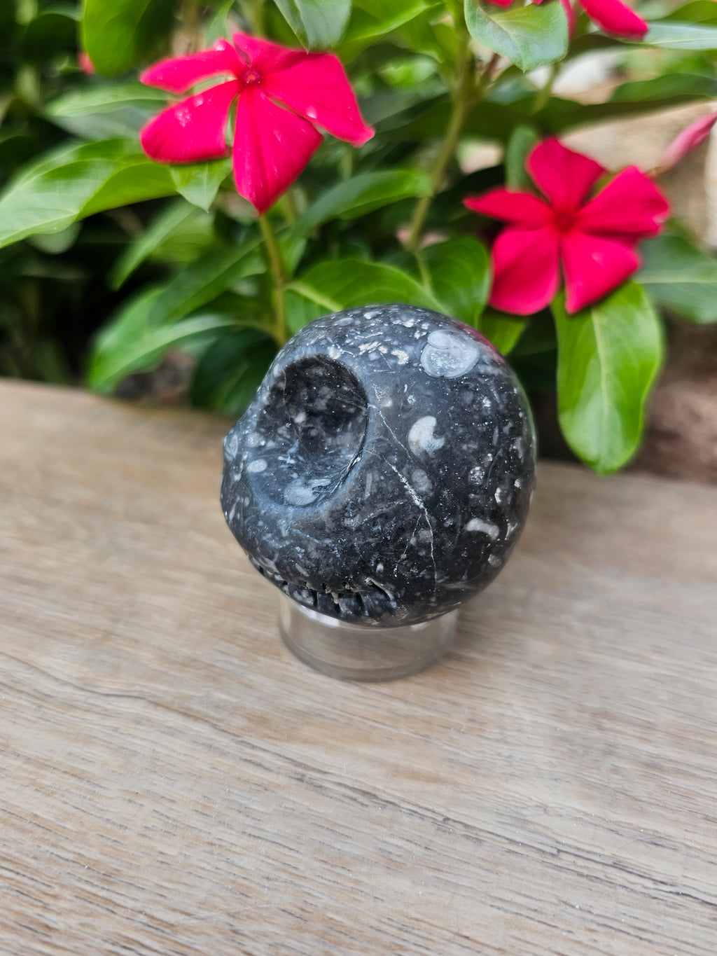 Guinea Fowl Jasper Crystal Jack Skellington - Skully