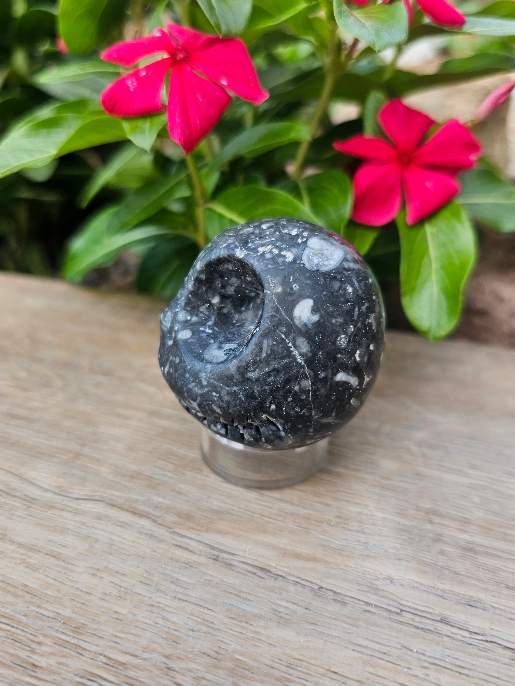 Guinea Fowl Jasper Crystal Jack Skellington - Skully