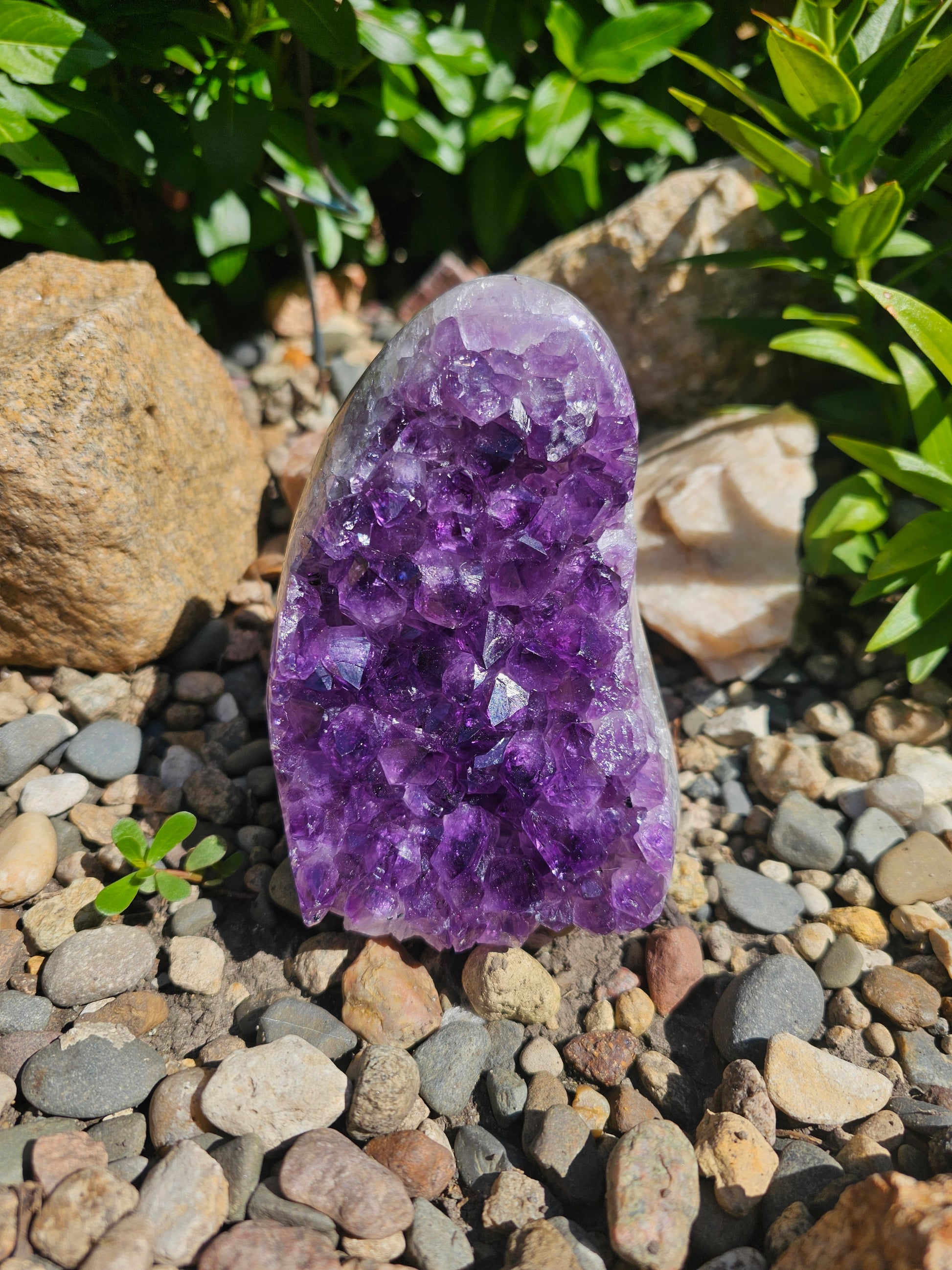 Amethyst Raw Crystal Cut Base