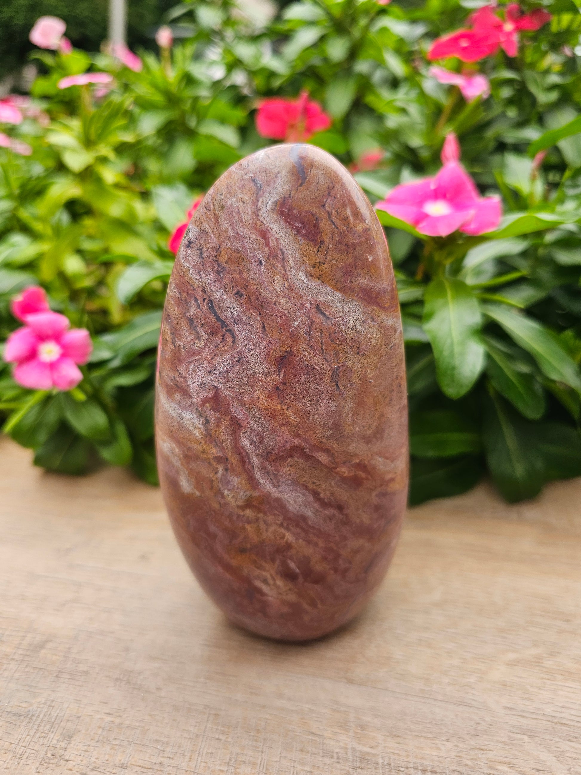 Ocean Jasper Crystal Freeform 6.5" x 4" - Natural Healing Stone