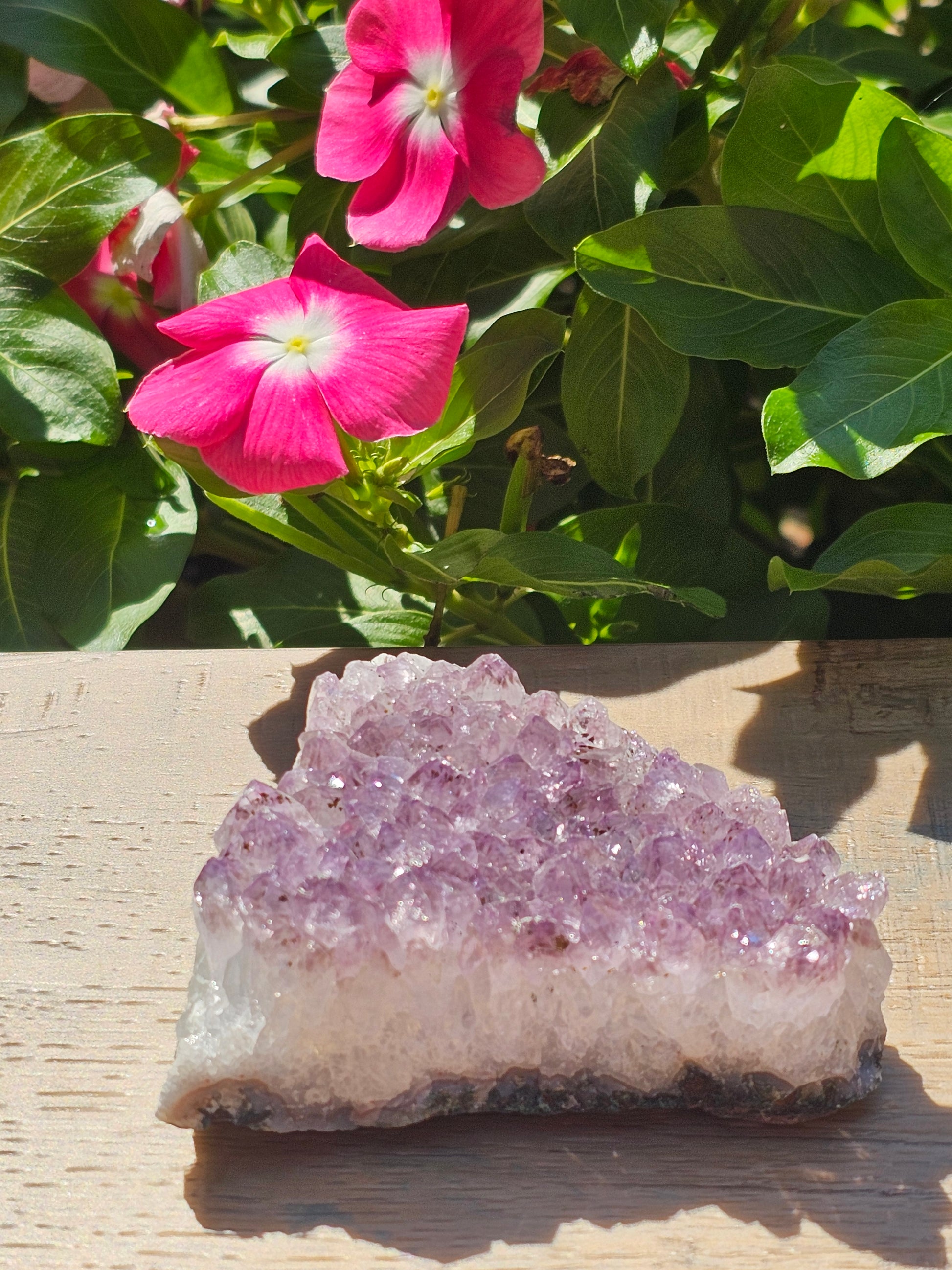Amethyst Raw Crystal Cluster