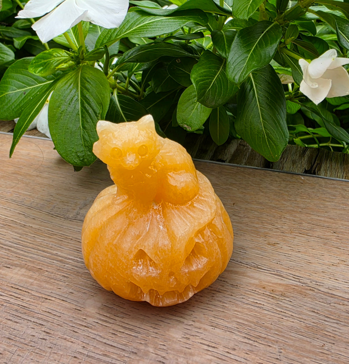 Orange Calcite Crystal Pumpkin with Cat