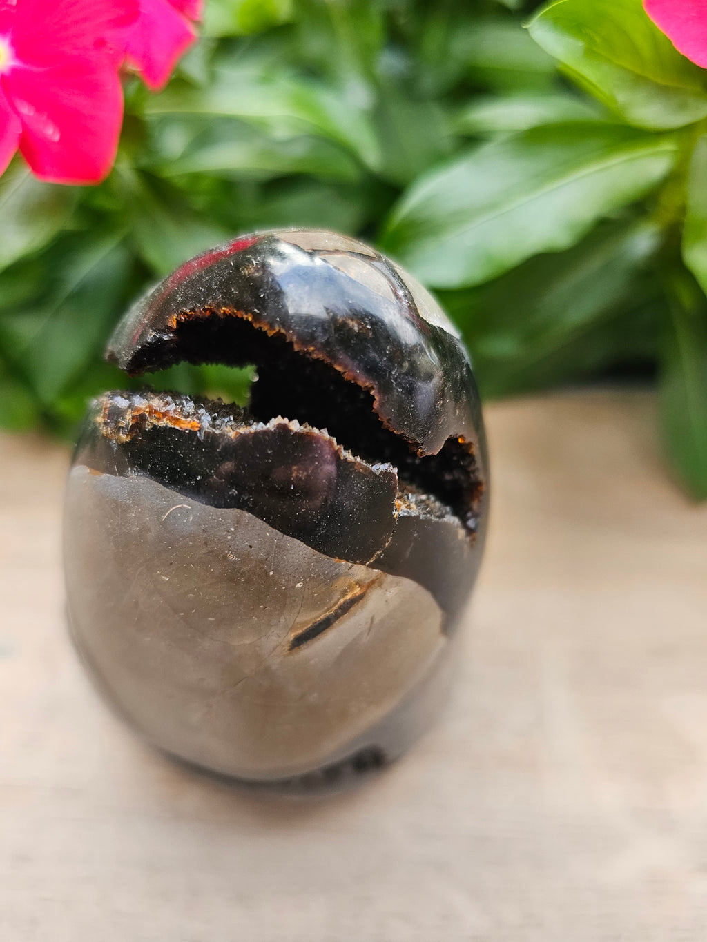 Septarian Dragon Egg - Natural Polished Stone 5" Tall