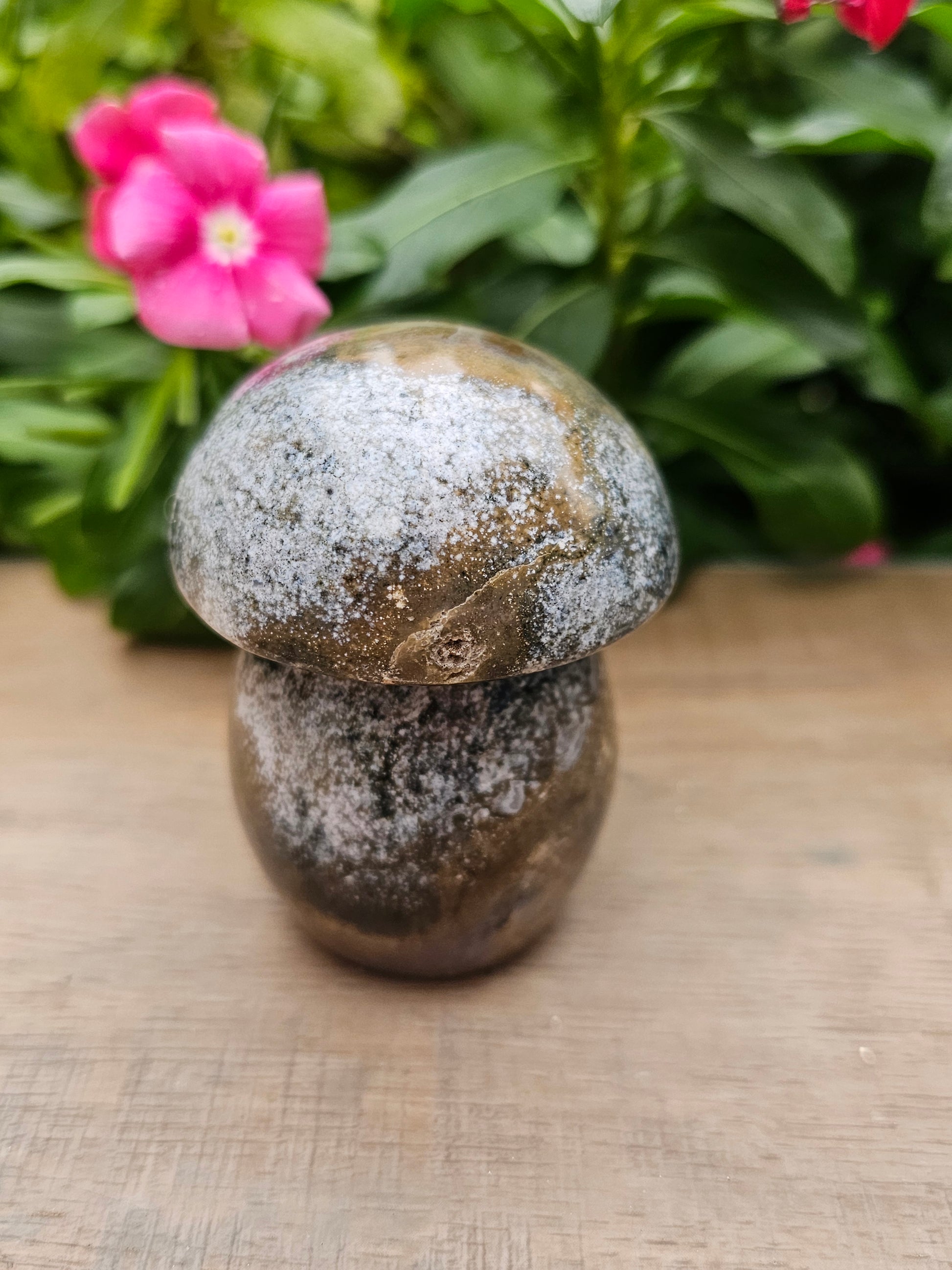 Ocean Jasper Crystal Mushroom - 2.7" Tall Natural Stone Carving