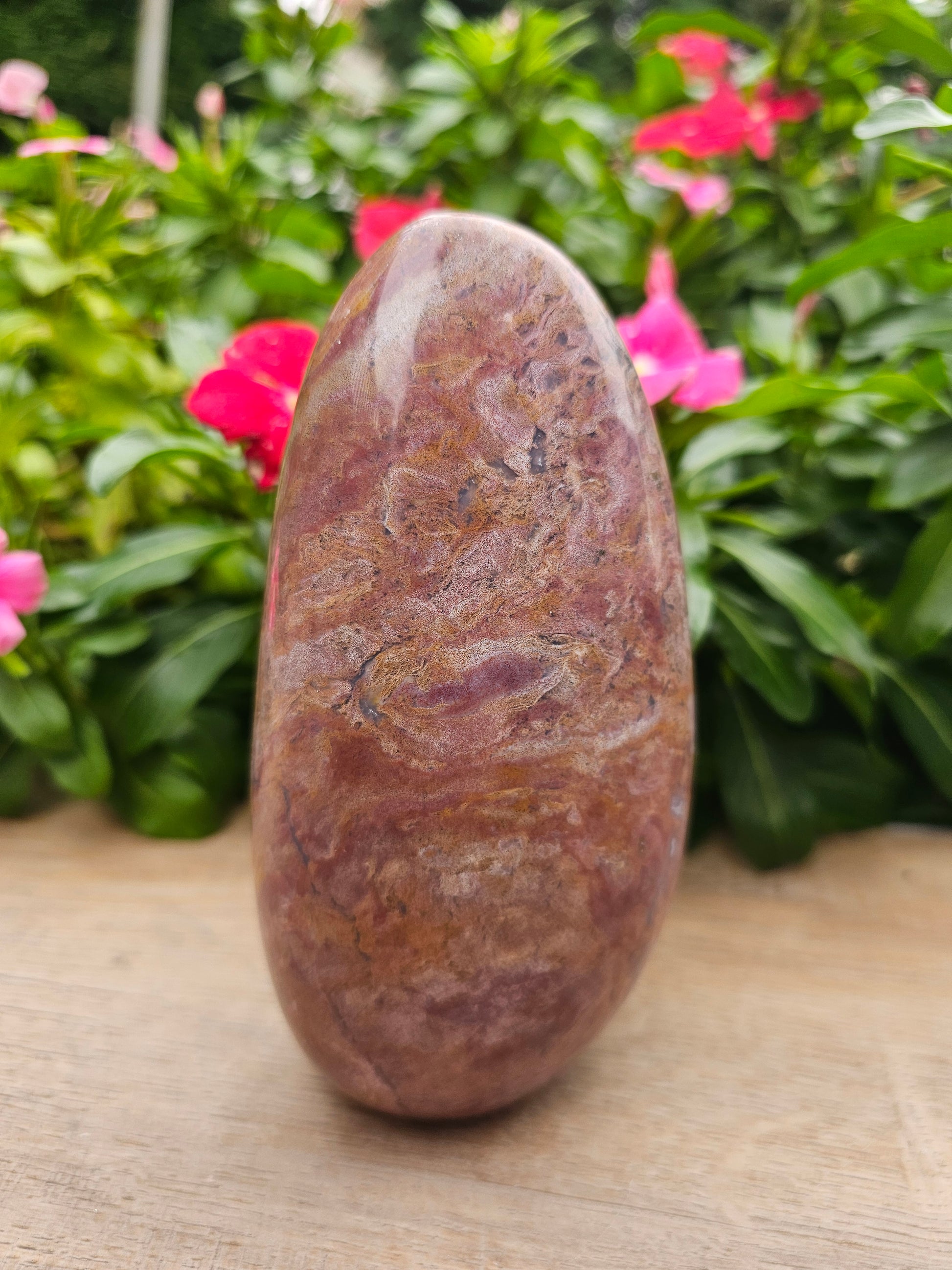 Ocean Jasper Crystal Freeform 6.5" x 4" - Natural Healing Stone