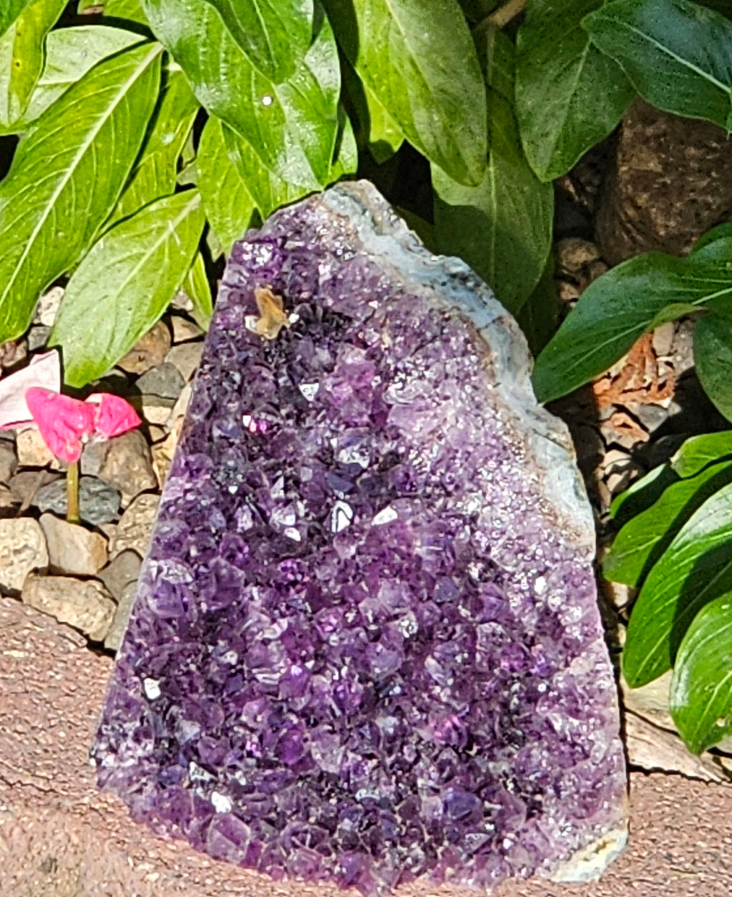 Amethyst Raw Crystal Cut Base