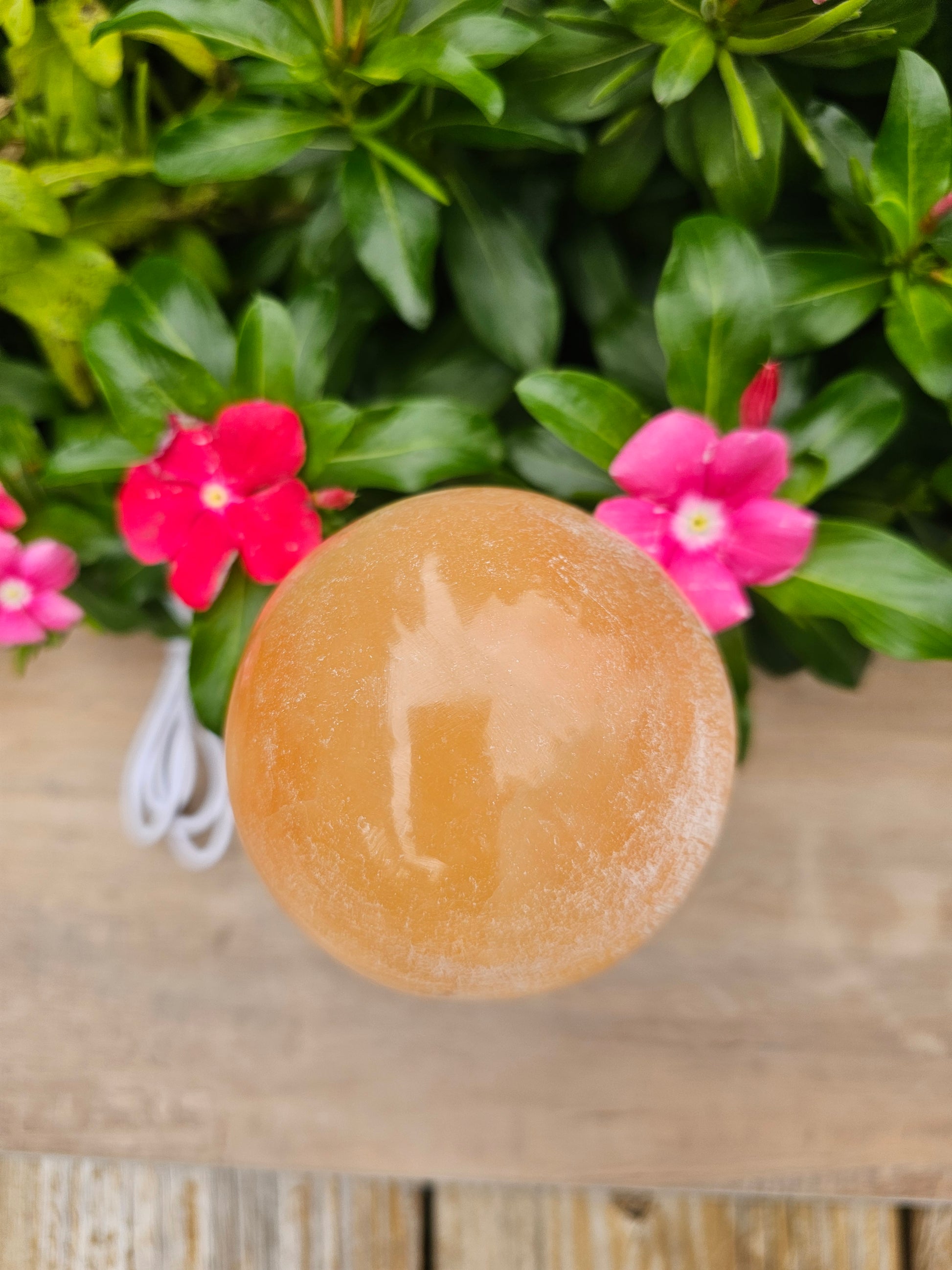 Selenite Crystal Mushroom with Light - Natural Healing Stone Lamp