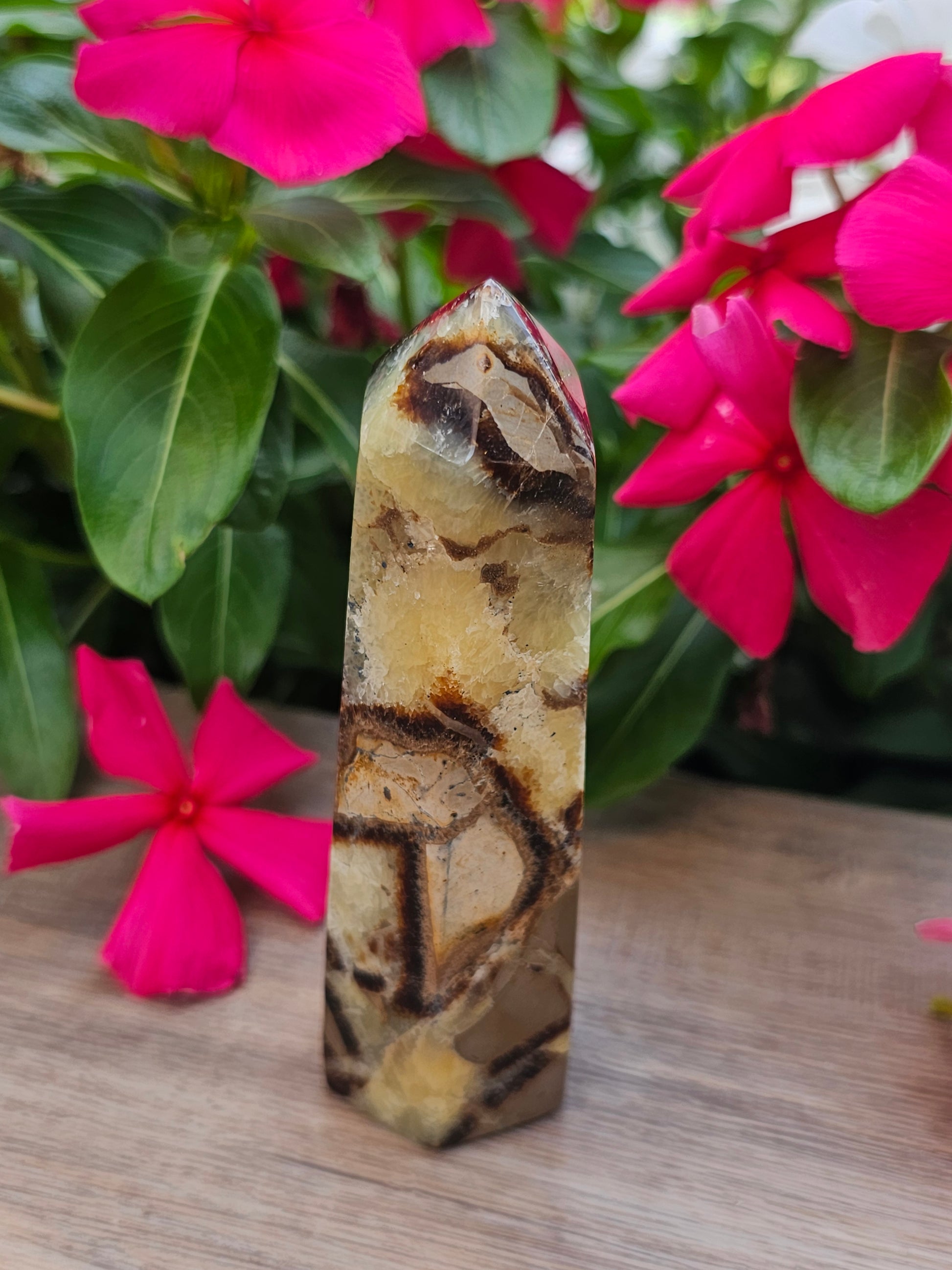 Septarian Crystal Tower Healing Stone Point