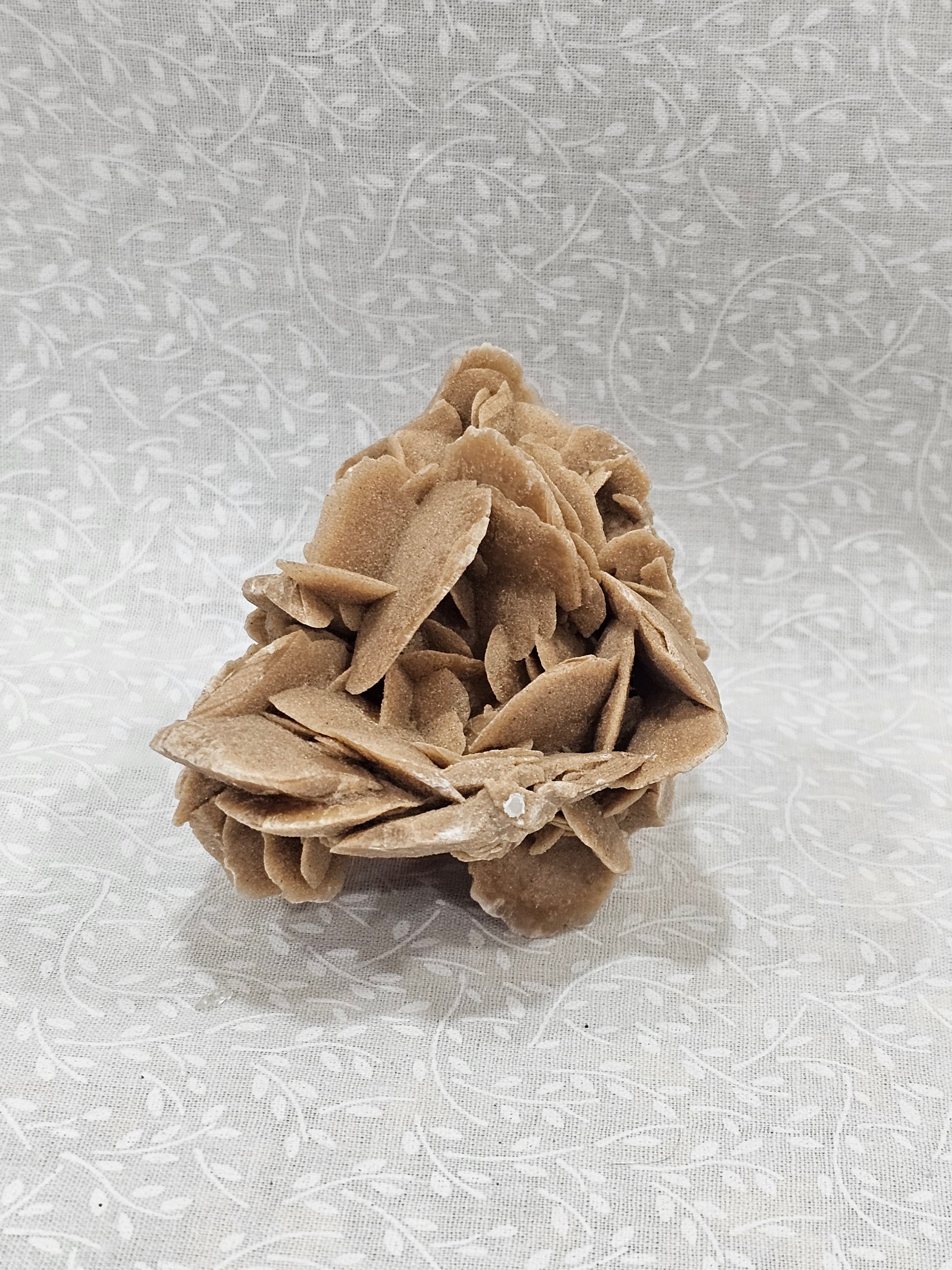Gypsum Desert Rose Raw Crystal Cluster