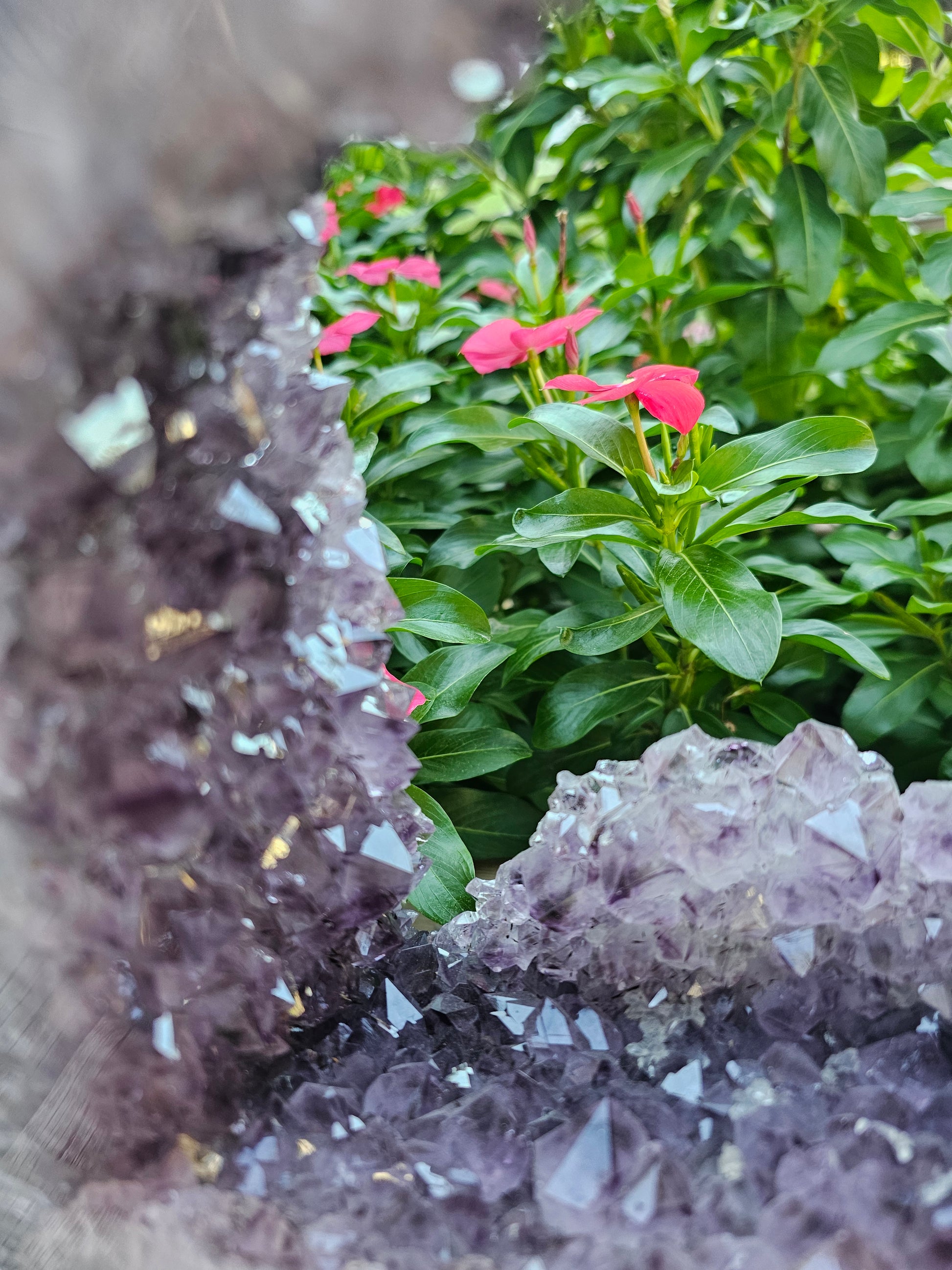 Amethyst Cathedral with Portal - 12.5" Tall Natural Crystal Geode