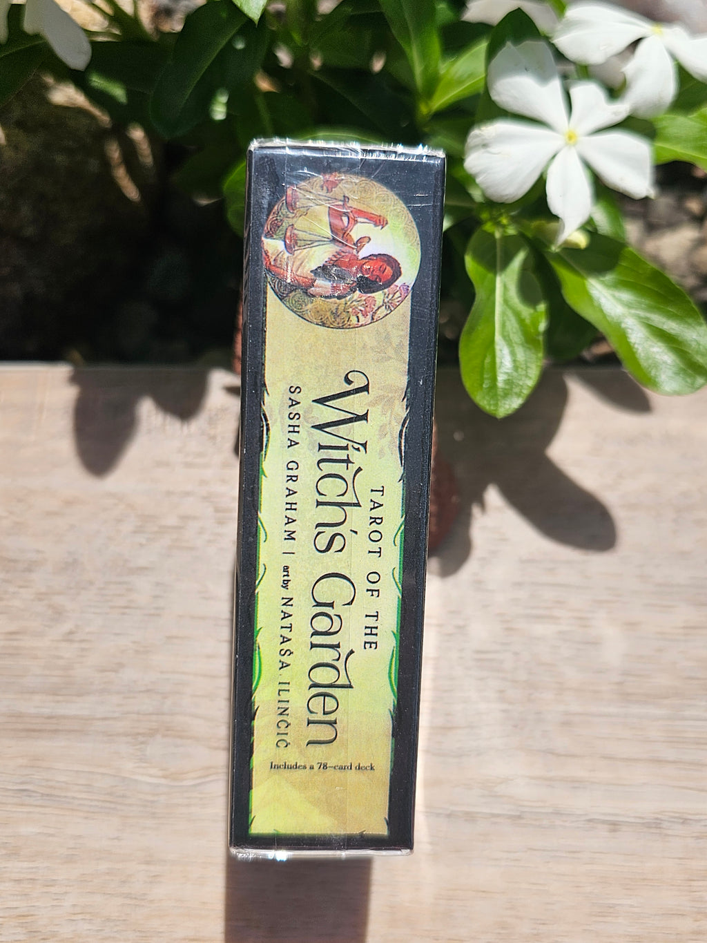 Tarot Of The Witch's Garden Cards Deck