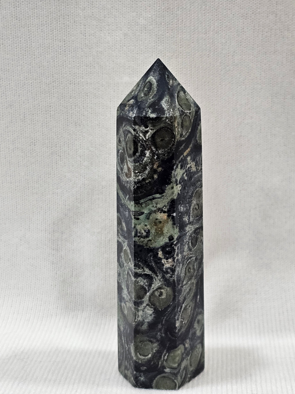 Kambaba Jasper Crystal Tower | 3.5" Natural Stone Point