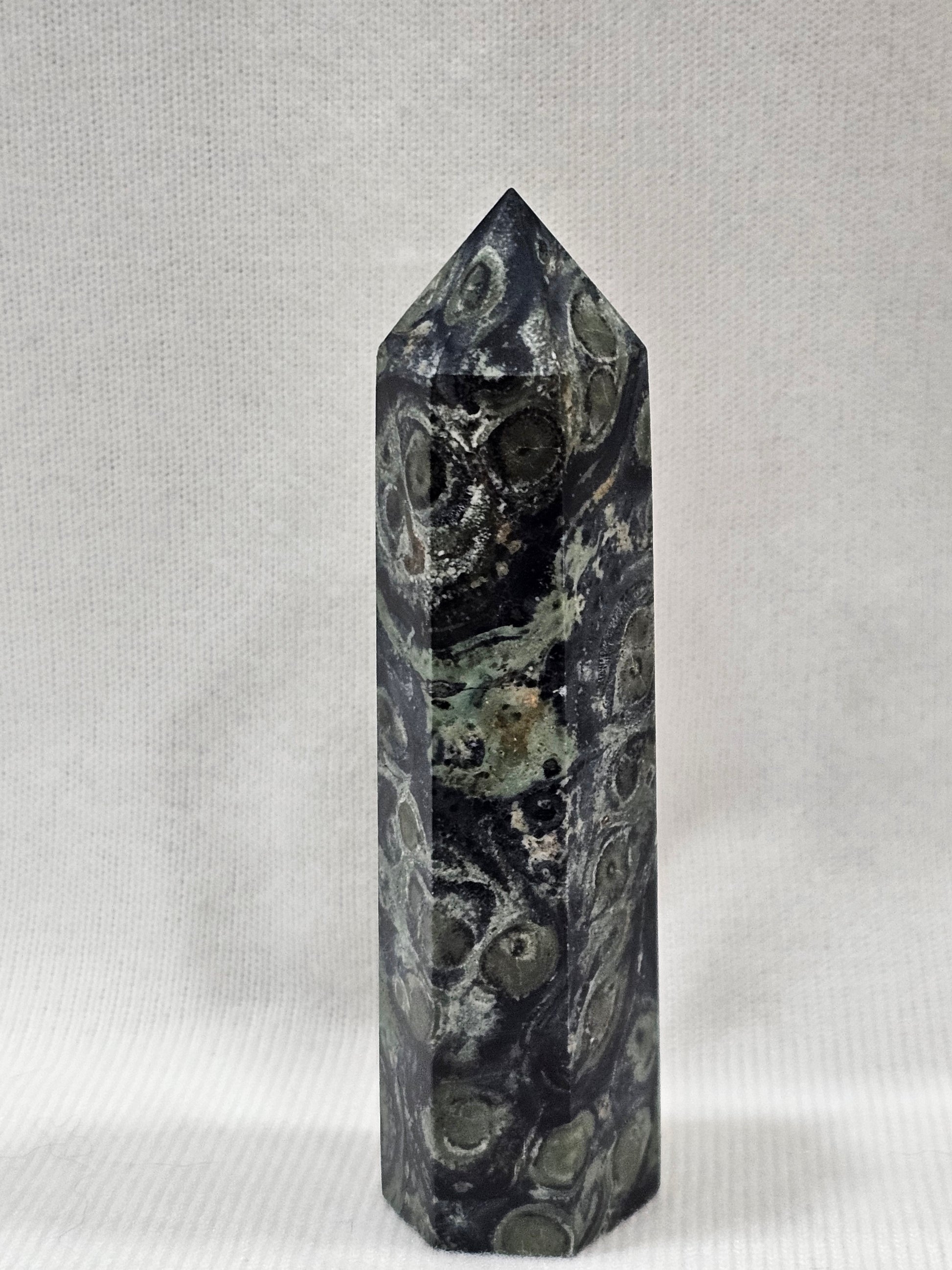 Kambaba Jasper Crystal Tower | 3.5" Natural Stone Point