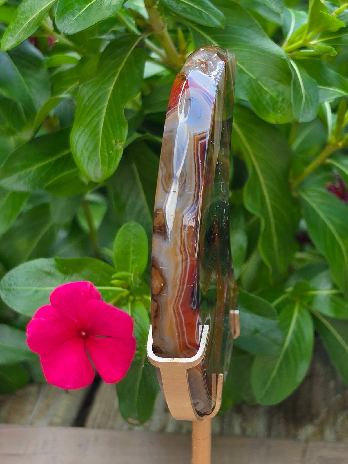 Sardonyx Crystal Crescent Moon on Stand with Druzy