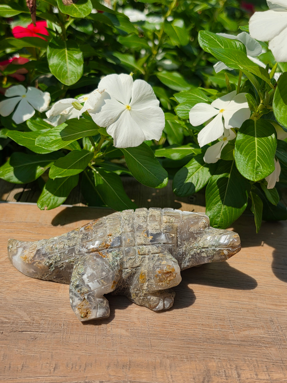Flower Agate Crystal Crocodile