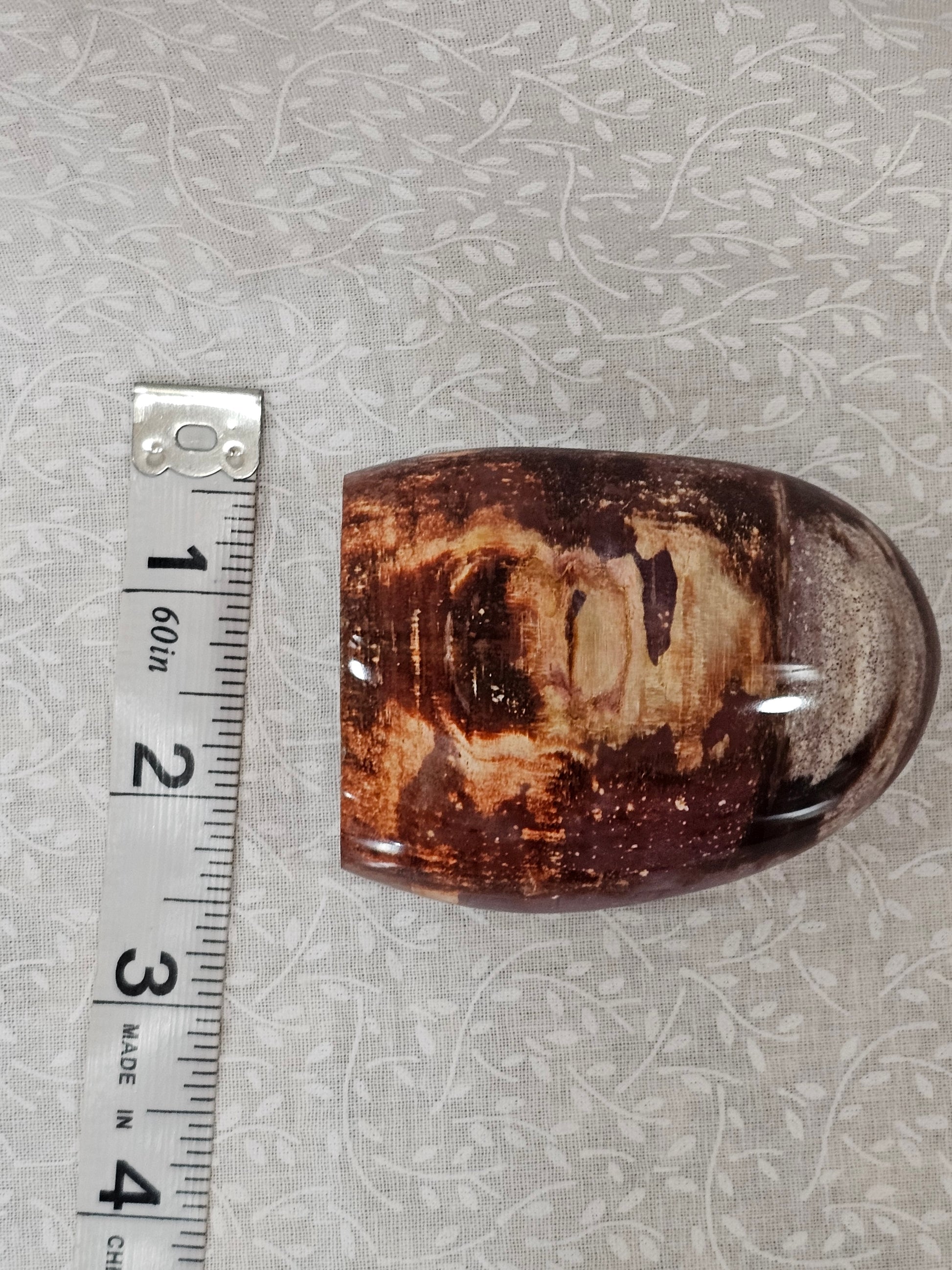 Petrified Wood Crystal Free Form