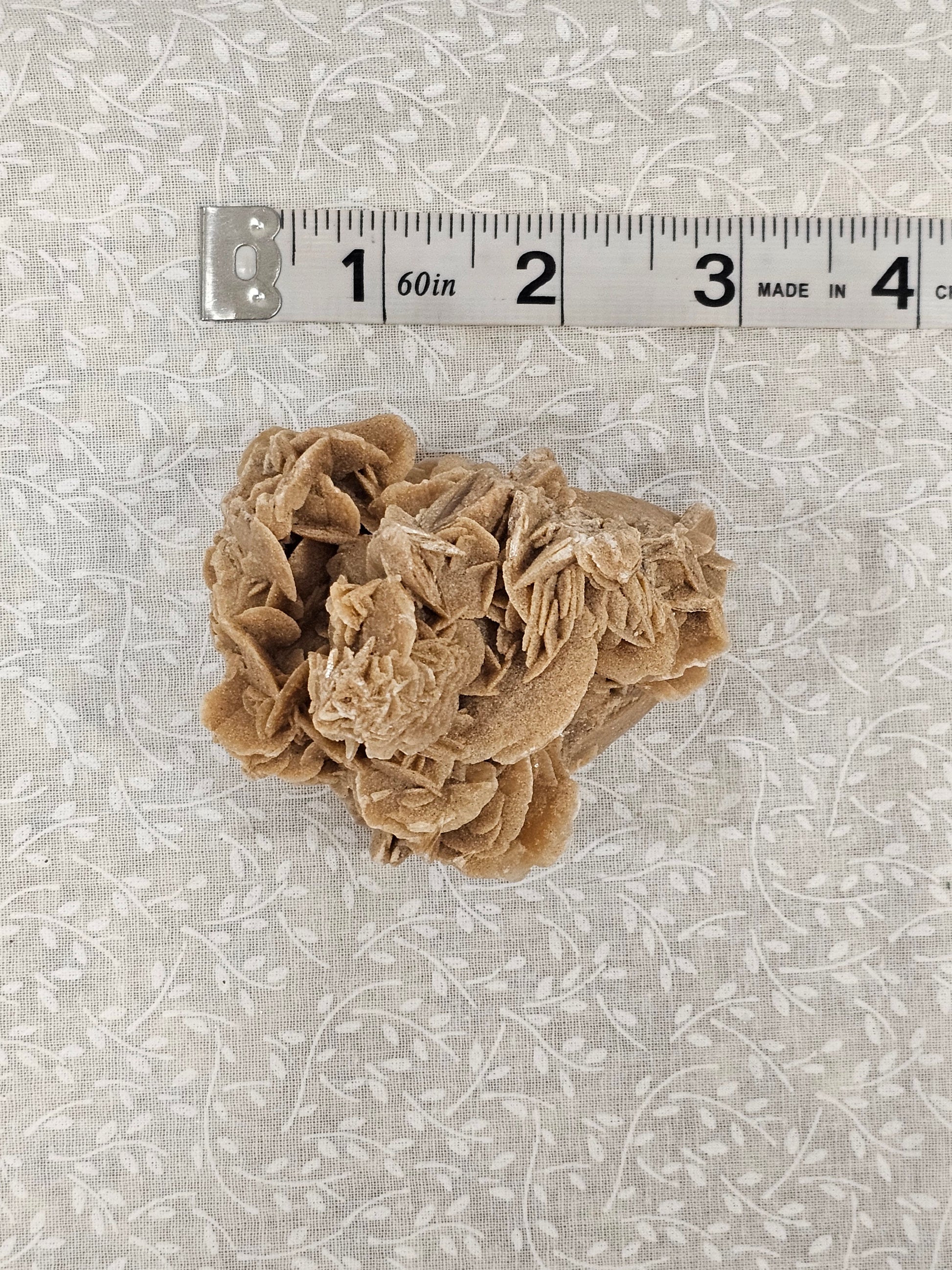 Gypsum Desert Rose Raw Crystal Cluster