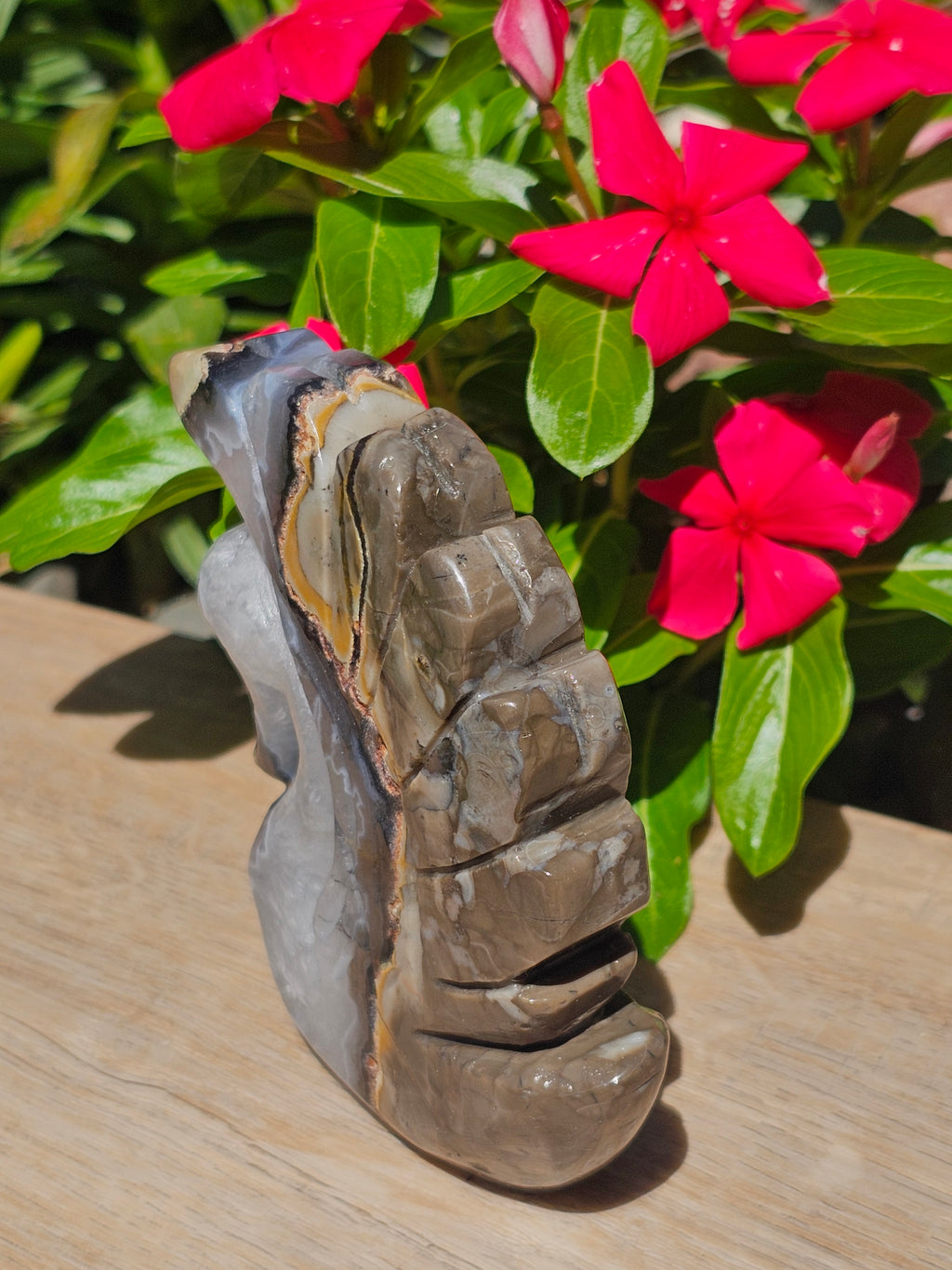Volcano Agate Crystal Swan