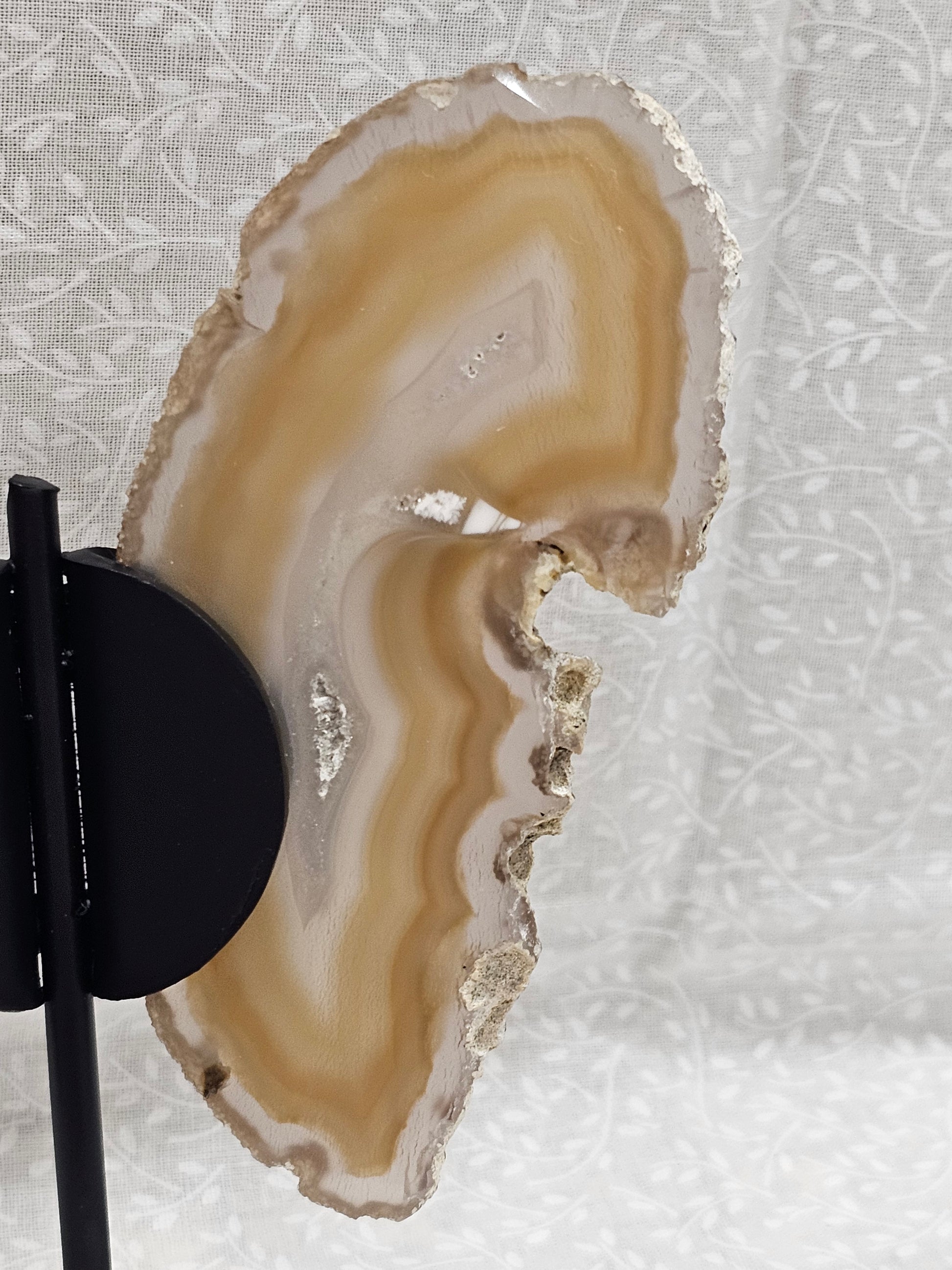 Agate Crystal Butterfly Wings on Stand