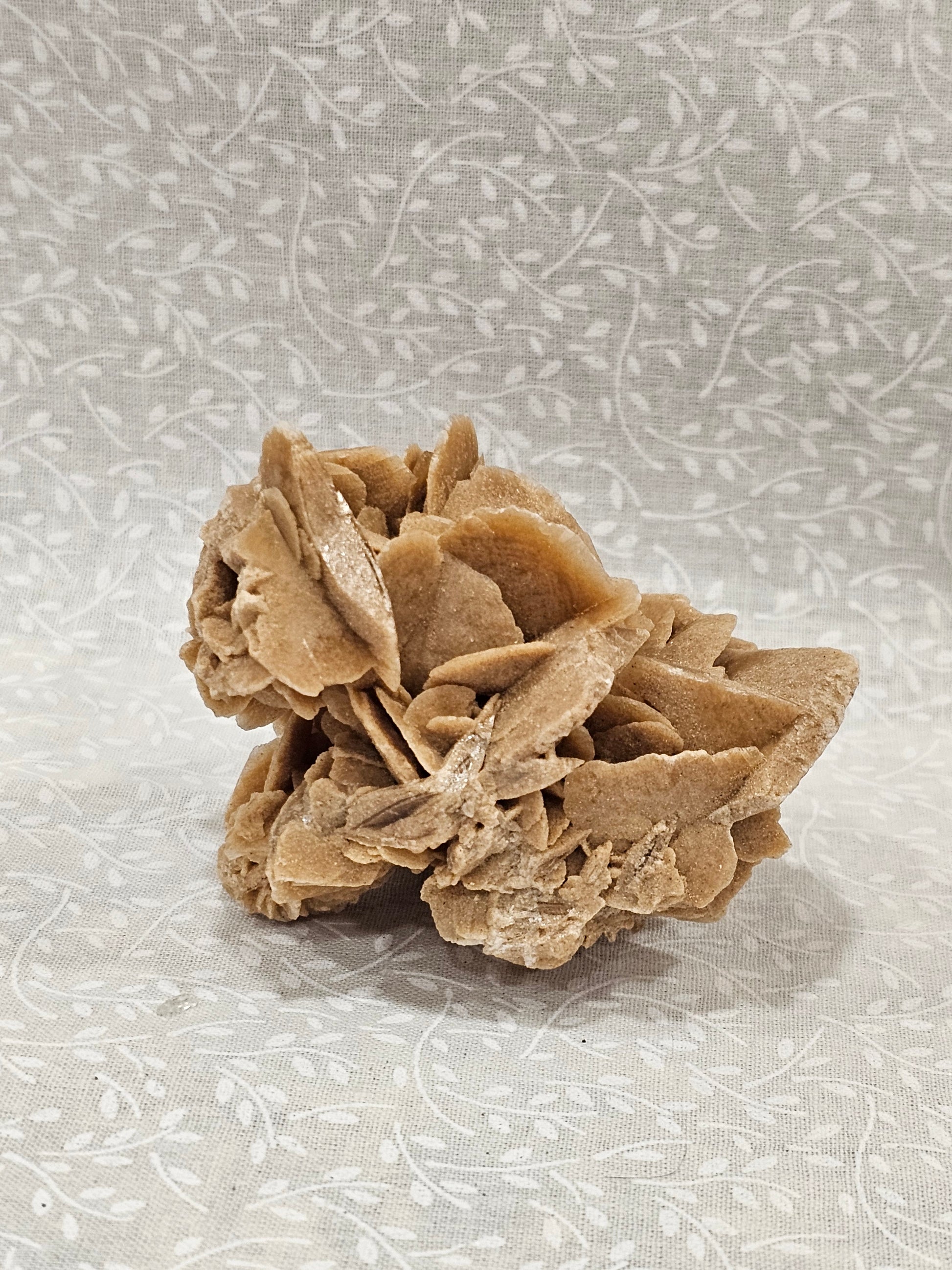 Gypsum Desert Rose Raw Crystal Cluster