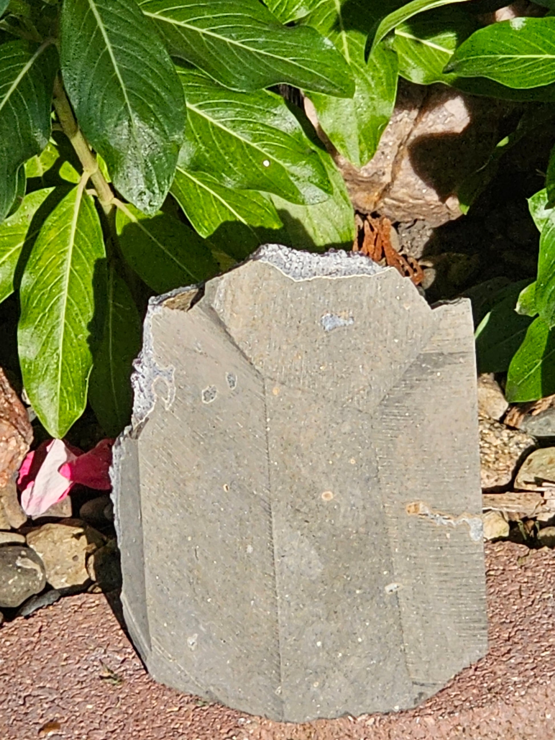 Amethyst Raw Crystal Cut Base