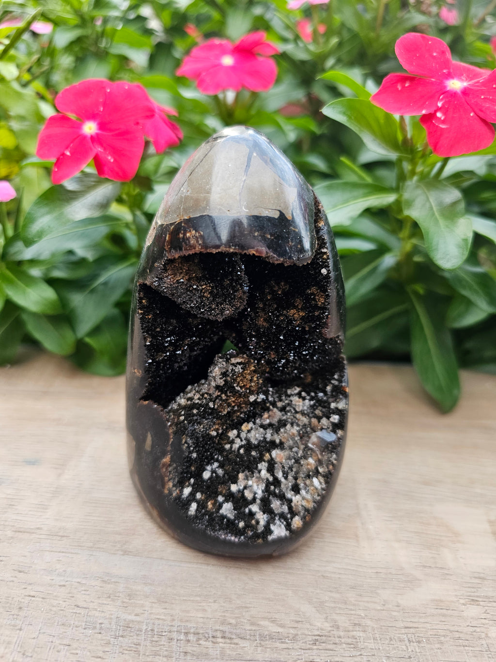 Septarian Dragon Egg - Natural Polished Stone 5" Tall