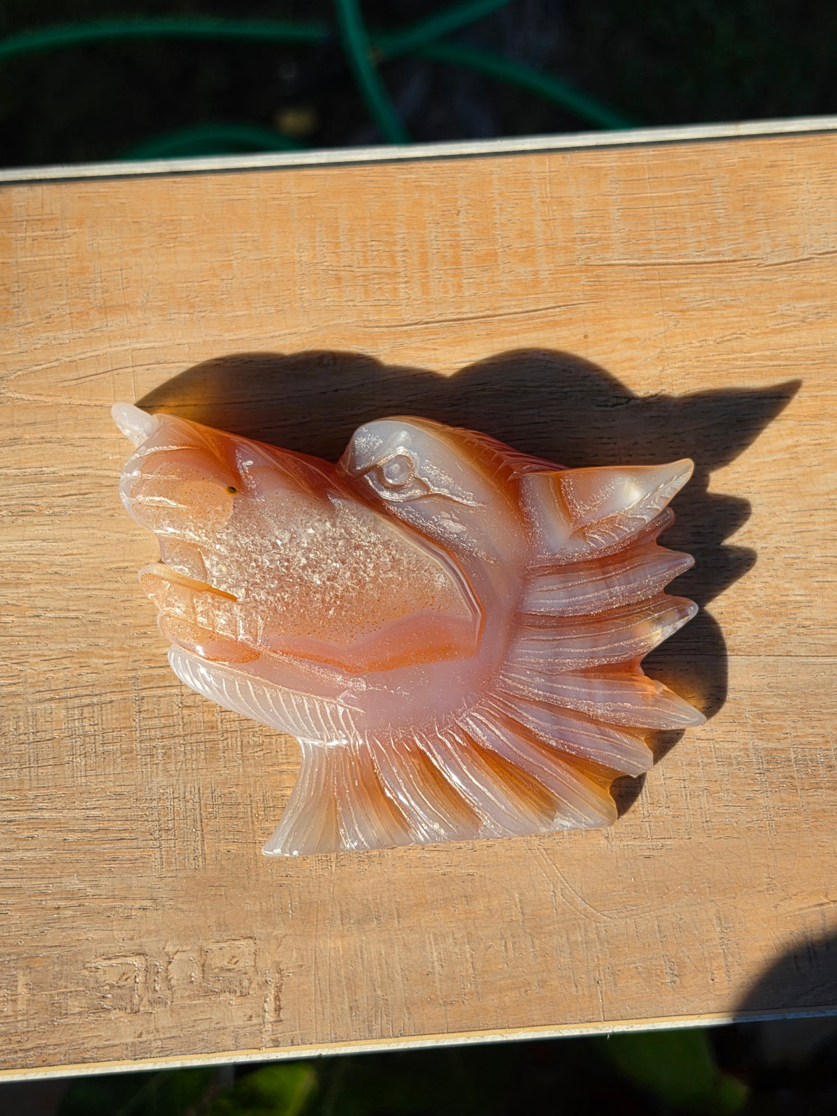Carnelian Druzy Agate Crystal Wolf