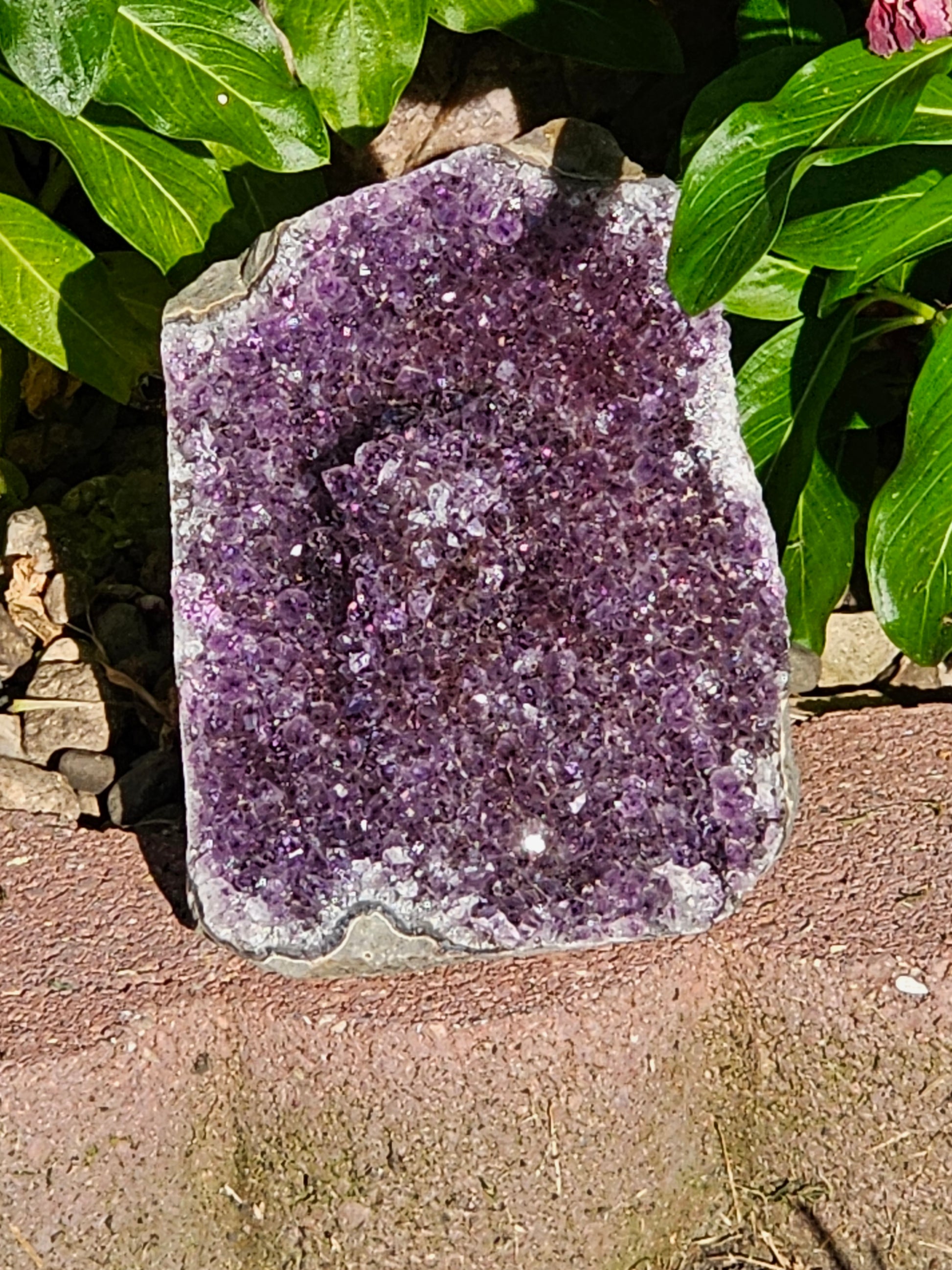 Amethyst Raw Crystal Cut Base