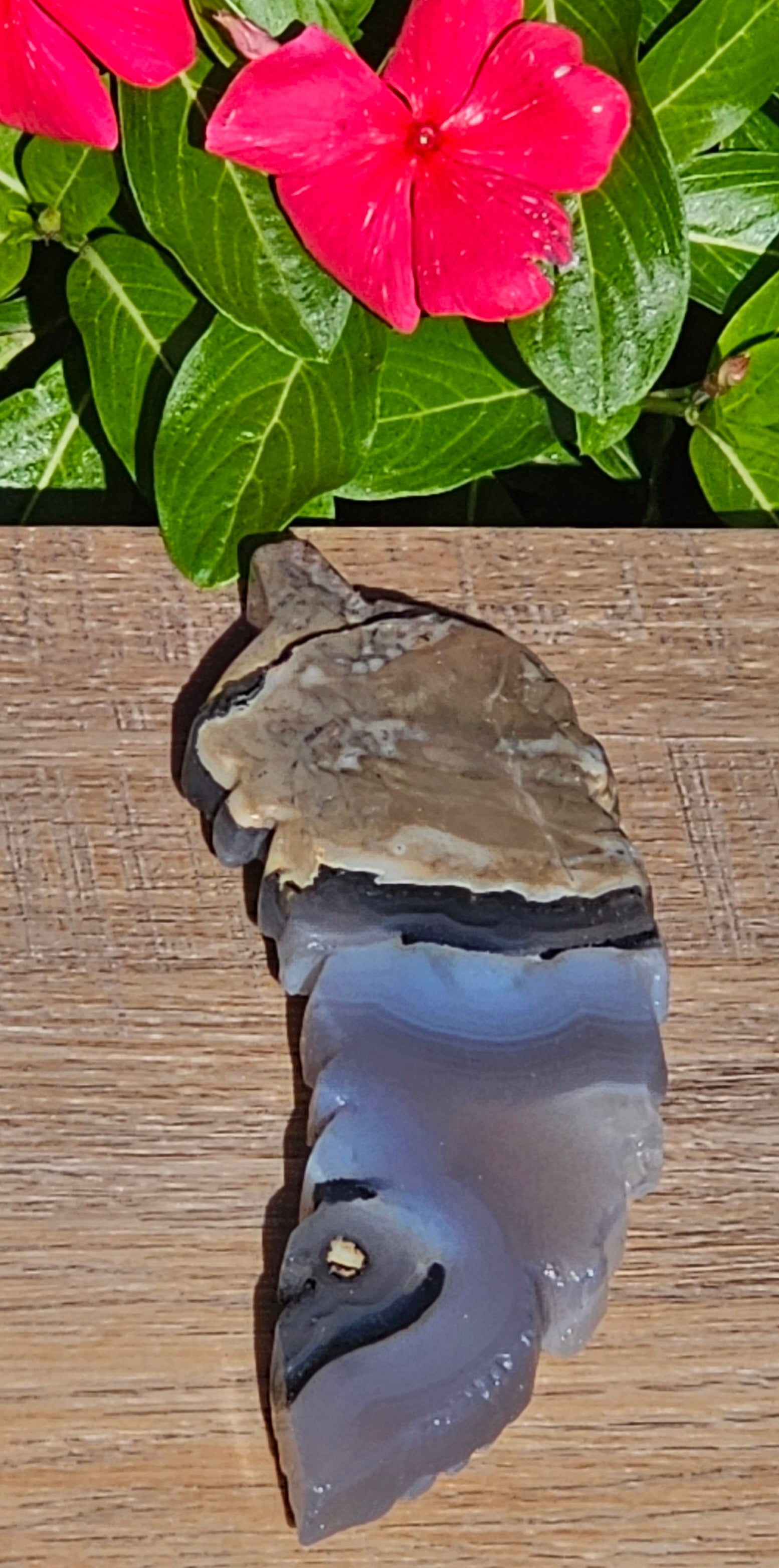 Volcano Agate Crystal Feather Carving